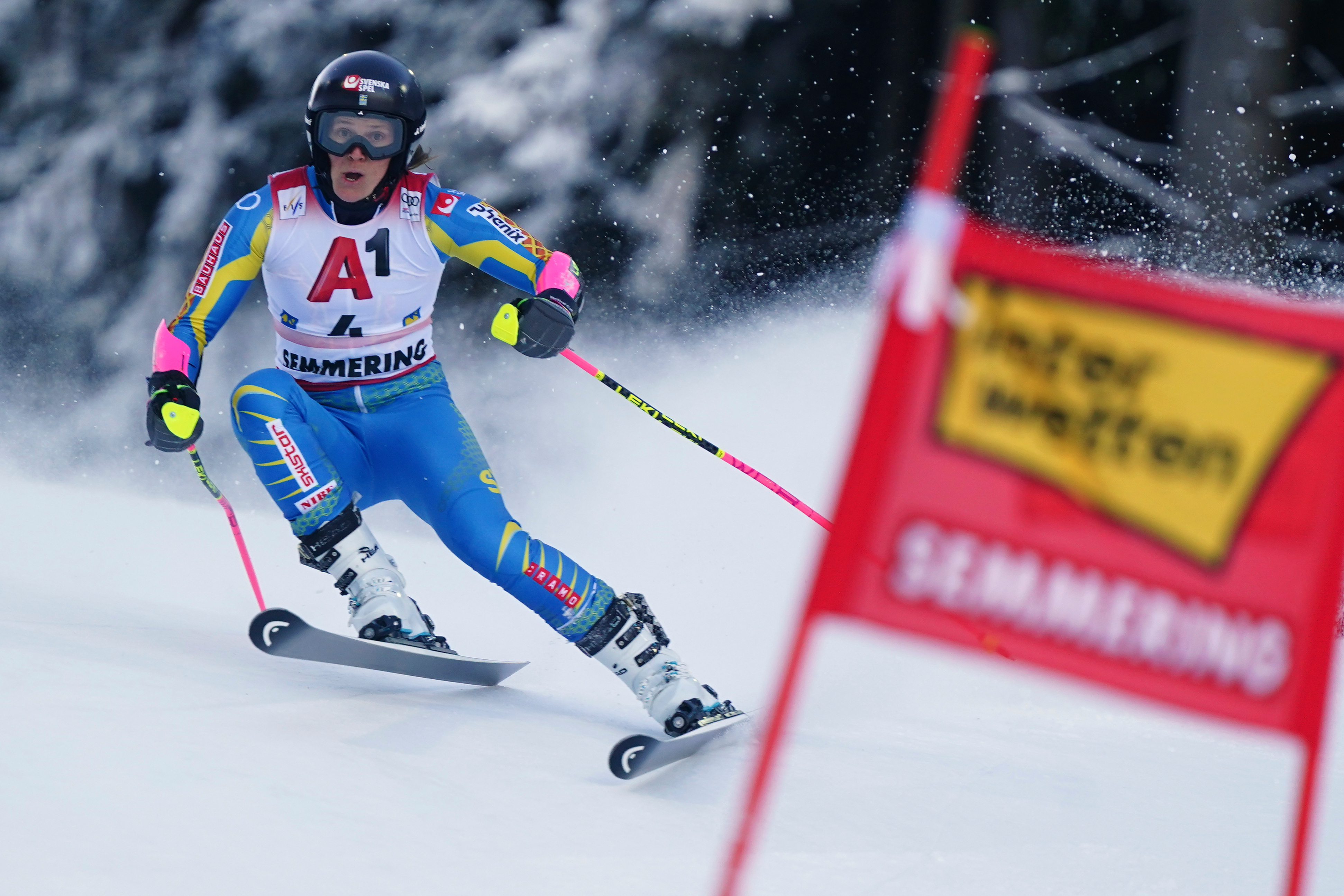 Olympic champion Sara Hector leads World Cup GS after 1st run