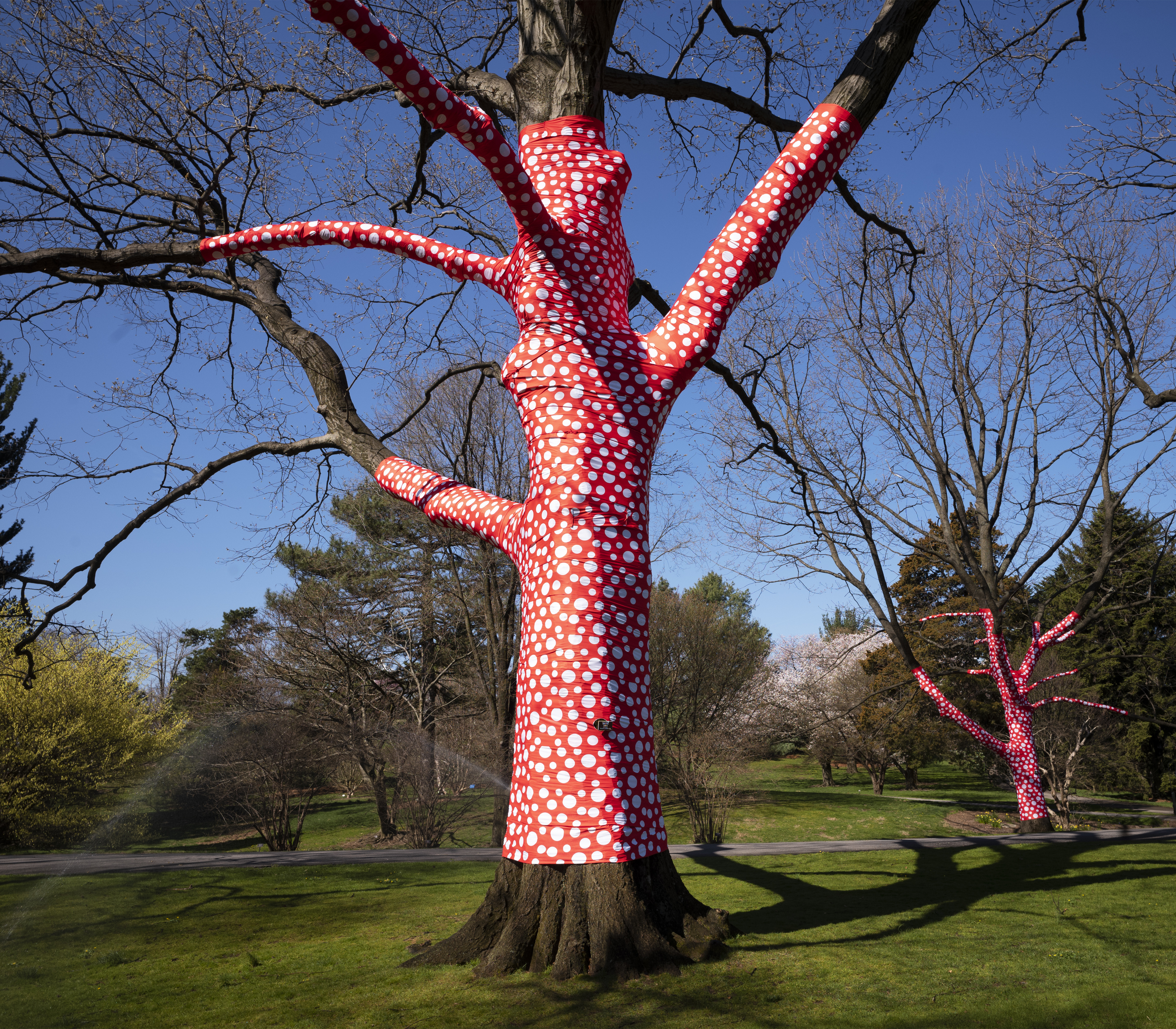 Artist gives nature a `cosmic' twist in big NY garden show