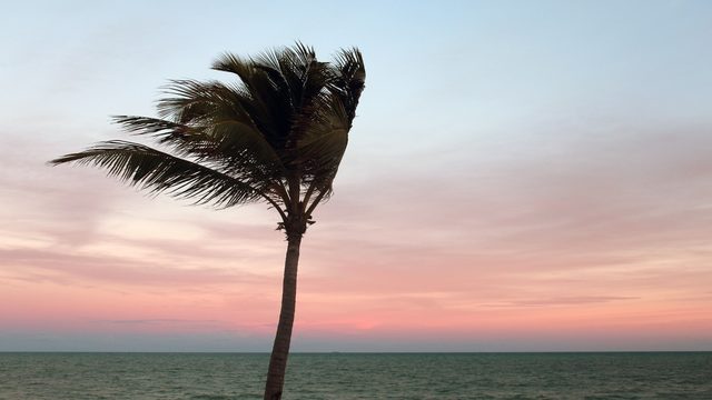 Why has it been so windy in Central Florida all week? Here's the answer