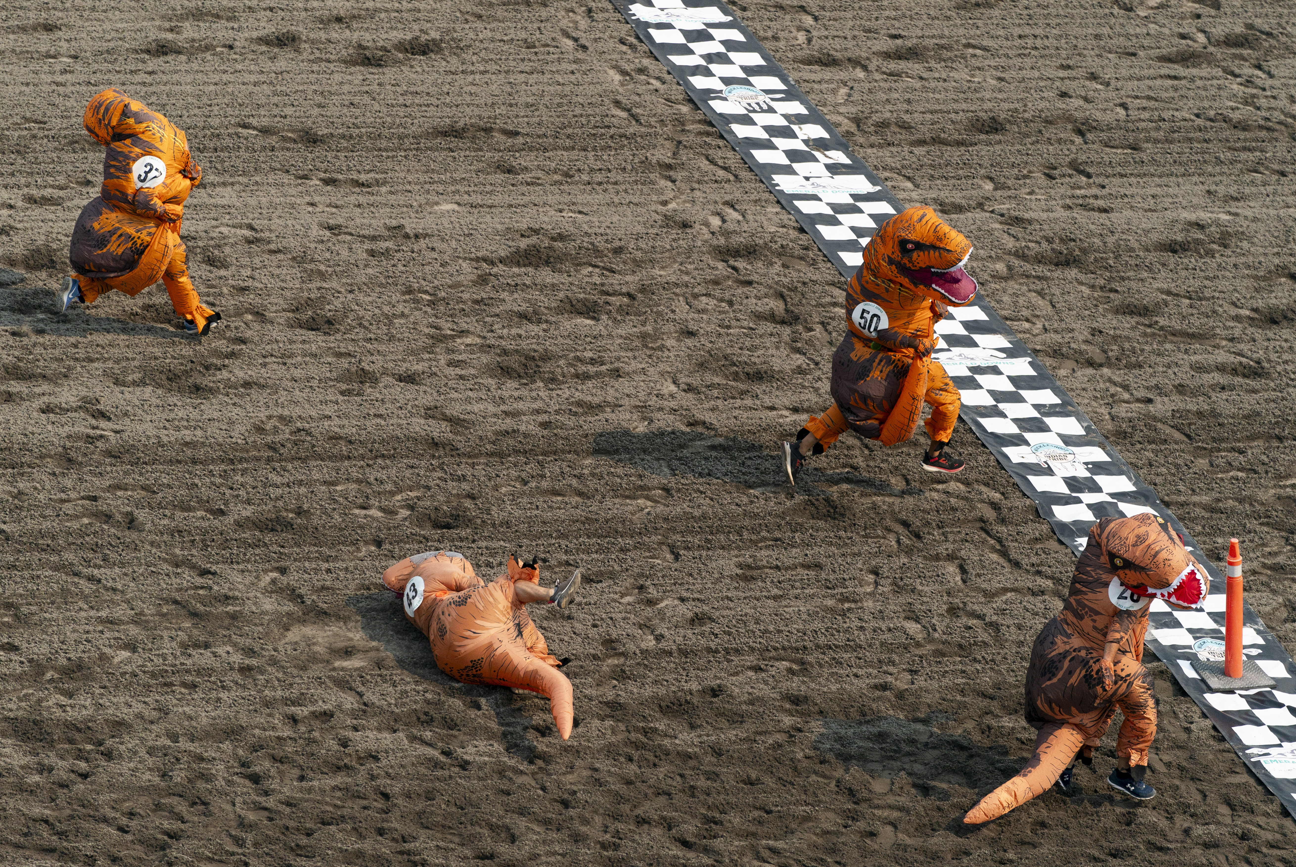 Washington runners take to the race track for a hilarious dinosaur race