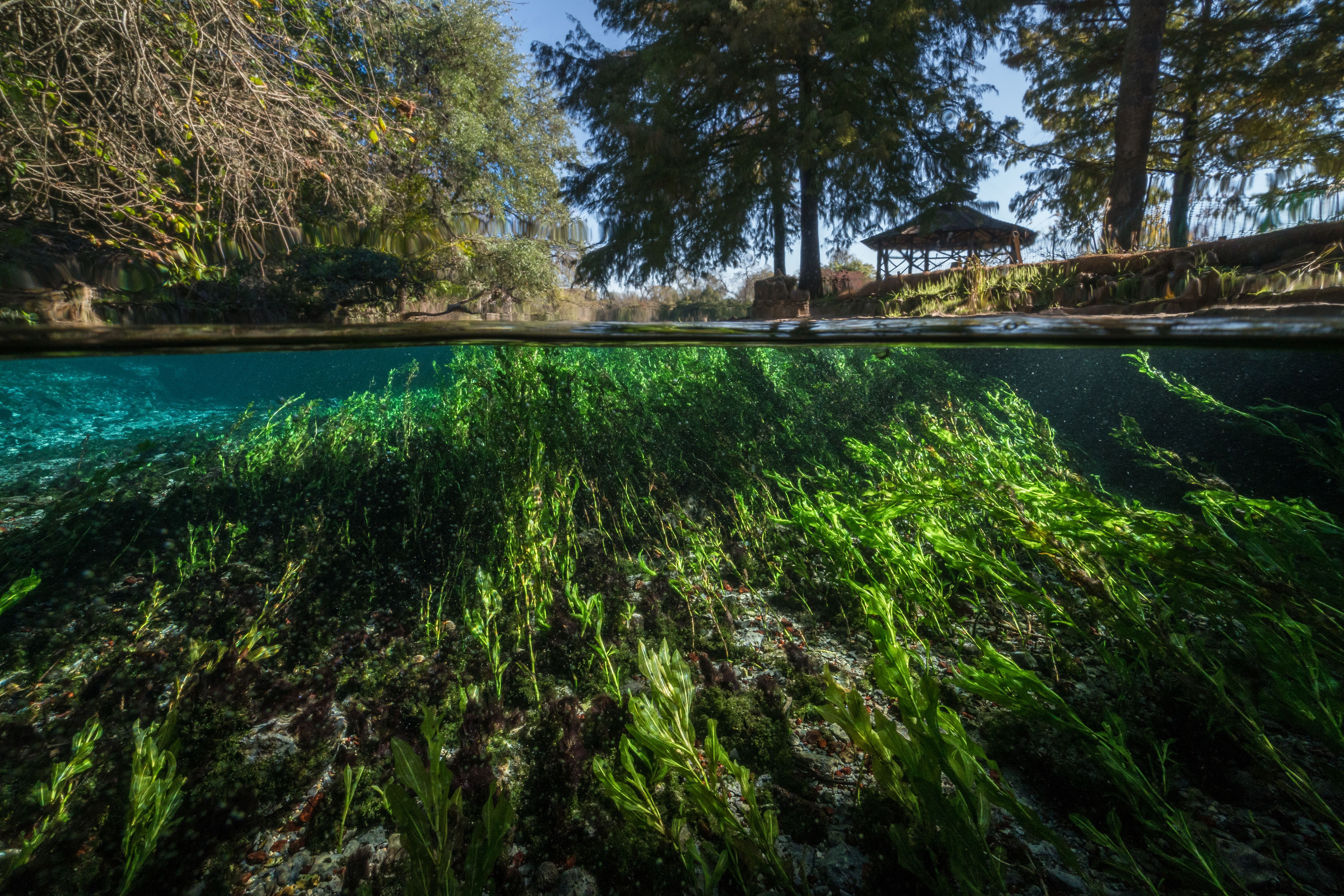 Great Springs Project' will connect San Antonio to Austin with 100 miles of  trails