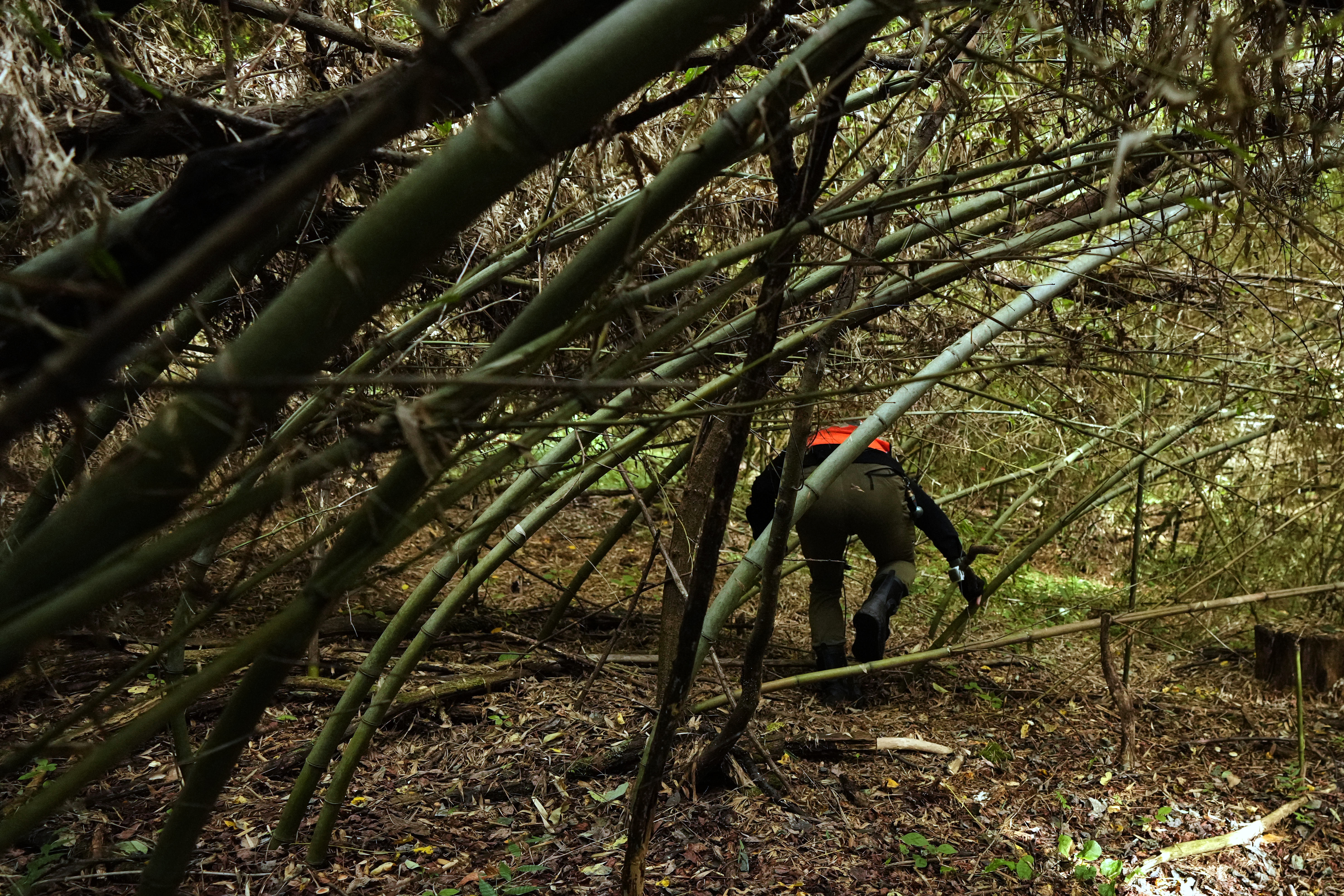 In Japan's Northern Alps, residents battle monkeys to protect