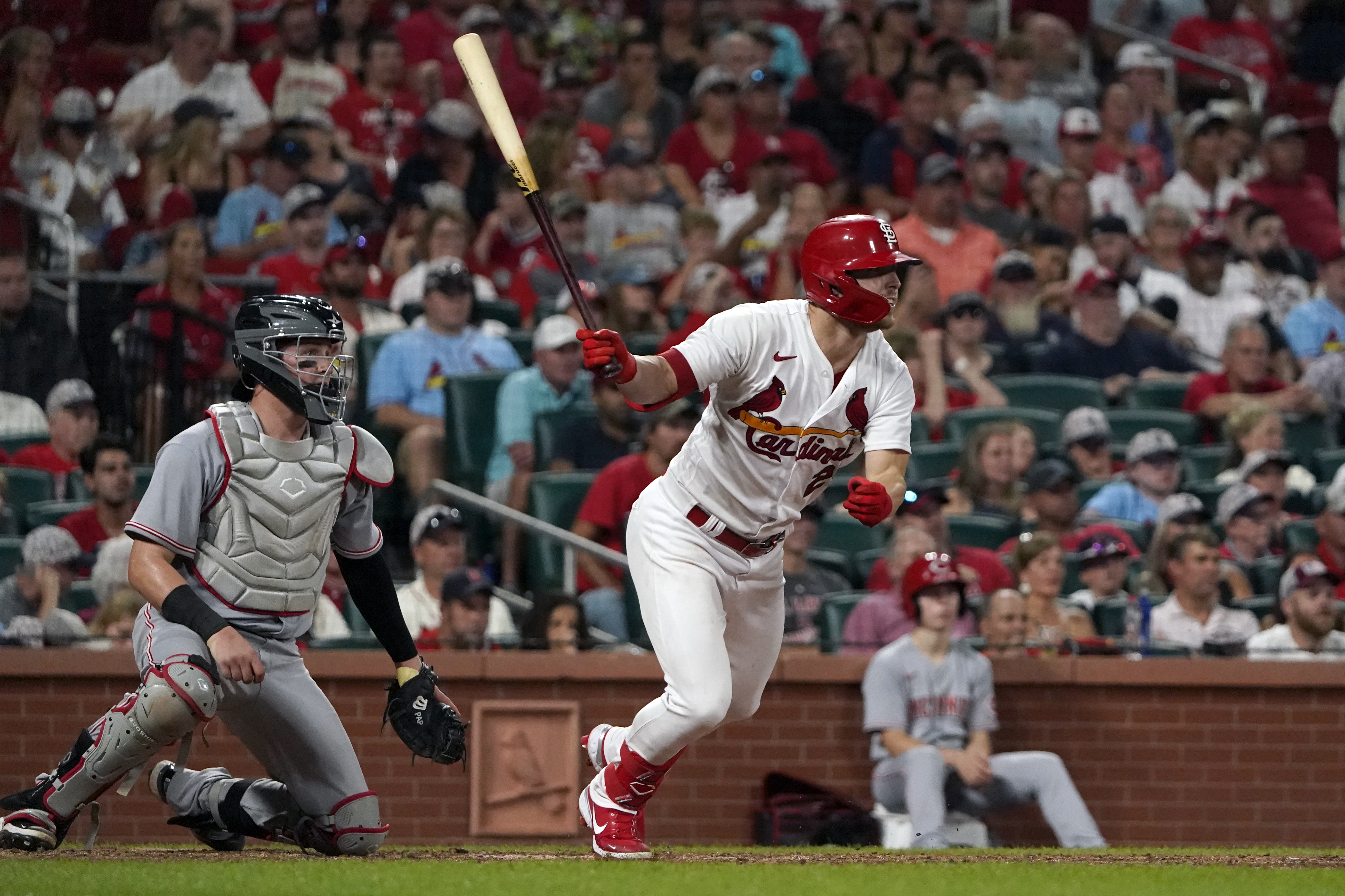 St. Louis Cardinals on X: The rookie, Brendan Donovan, gets his