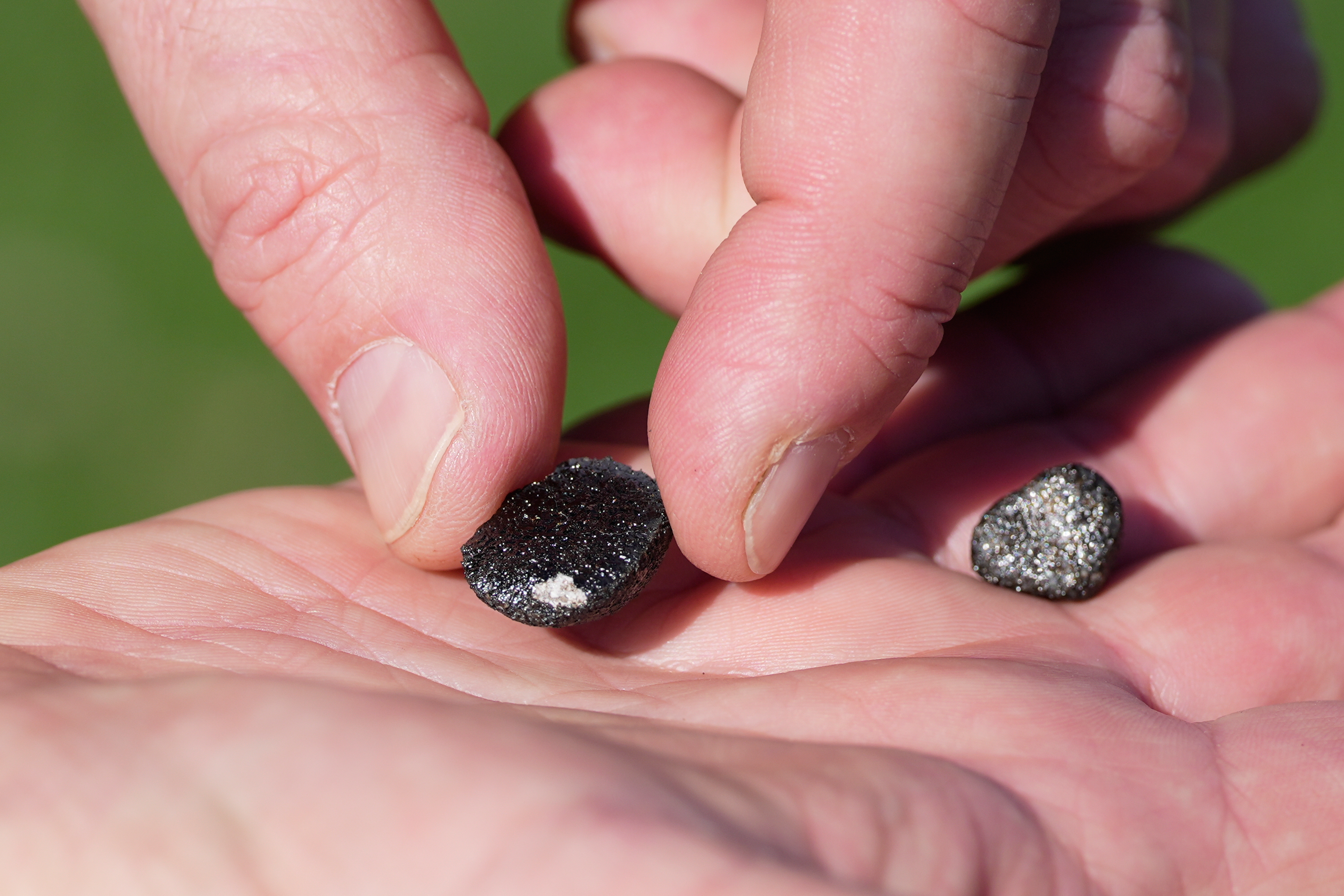 Meteorite hunters scour Ohio for fragments of 7-ton space rock