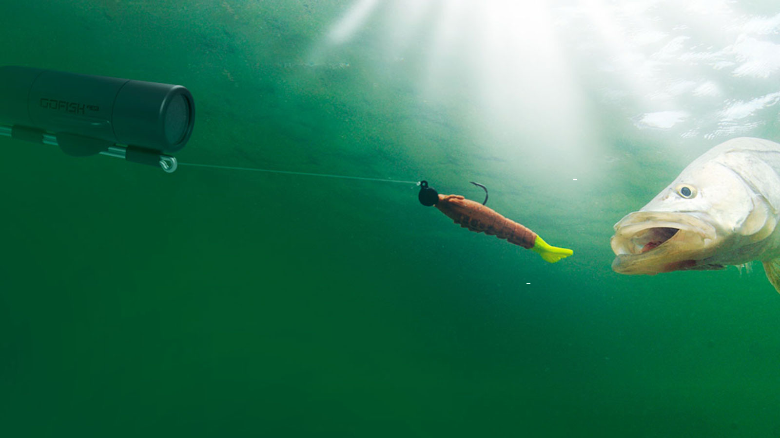 Capture your greatest catches on film with underwater fishing cam