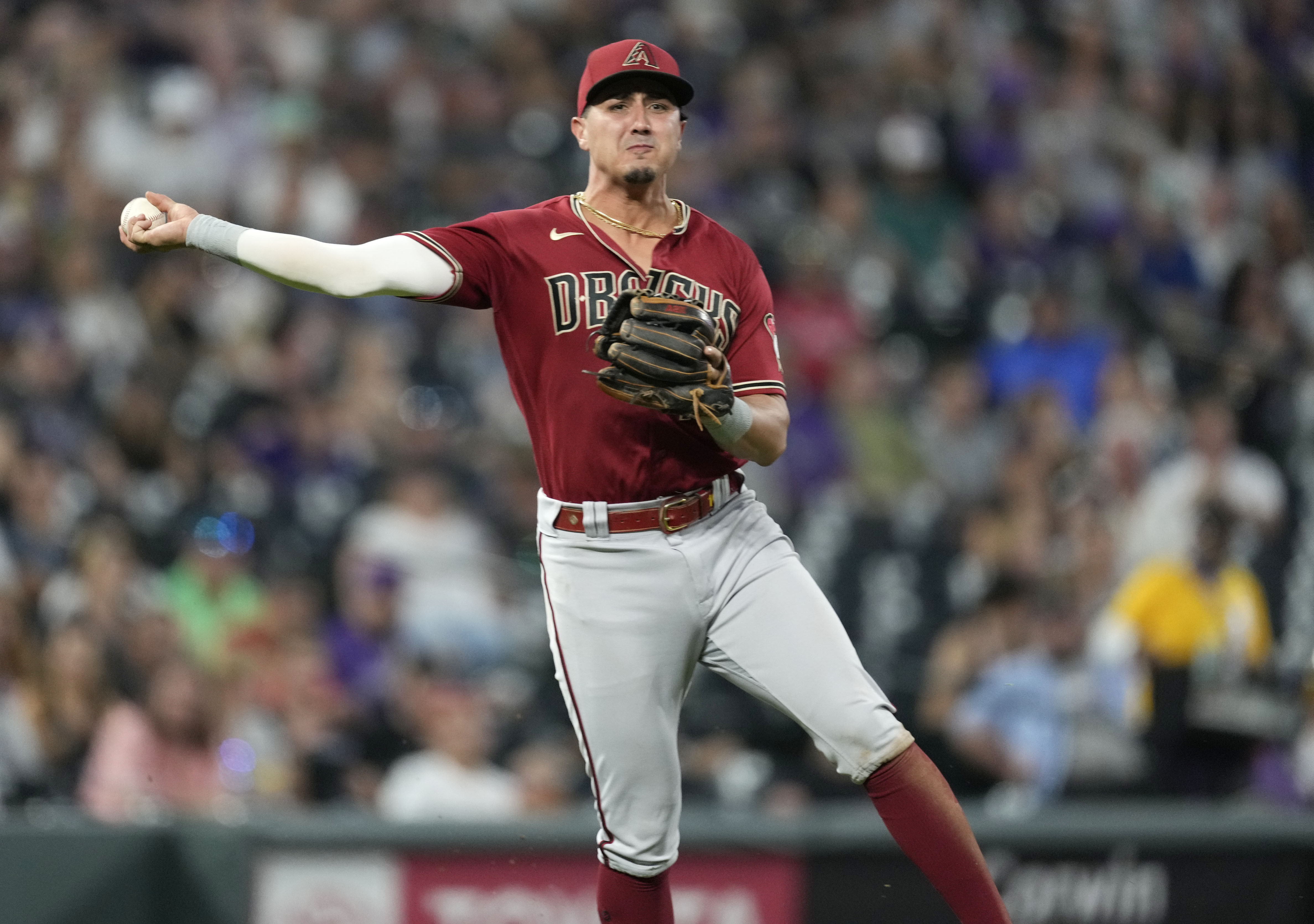 Nolan Arenado makes incredible diving catch into stands