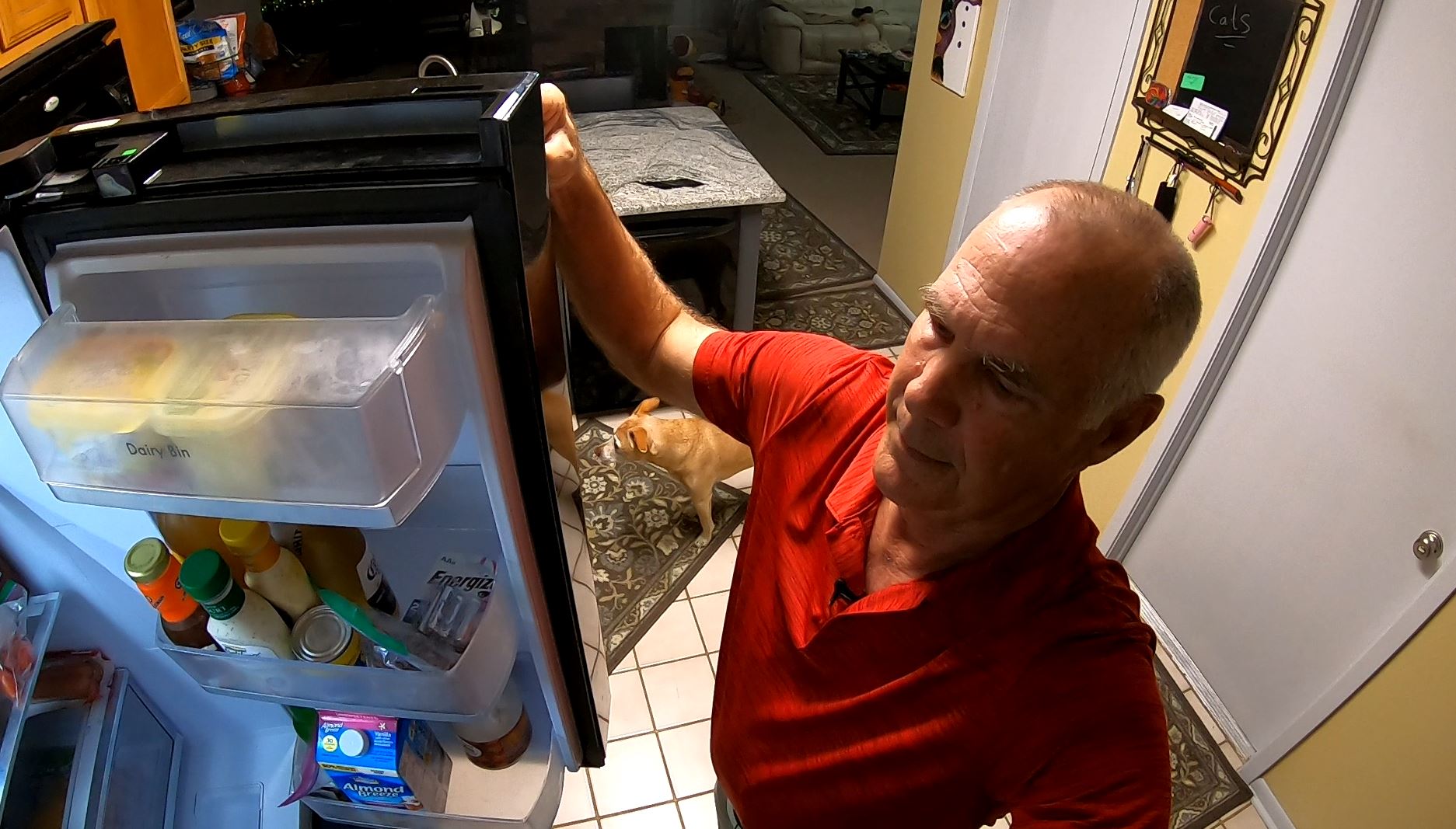 sears almond color refrigerator