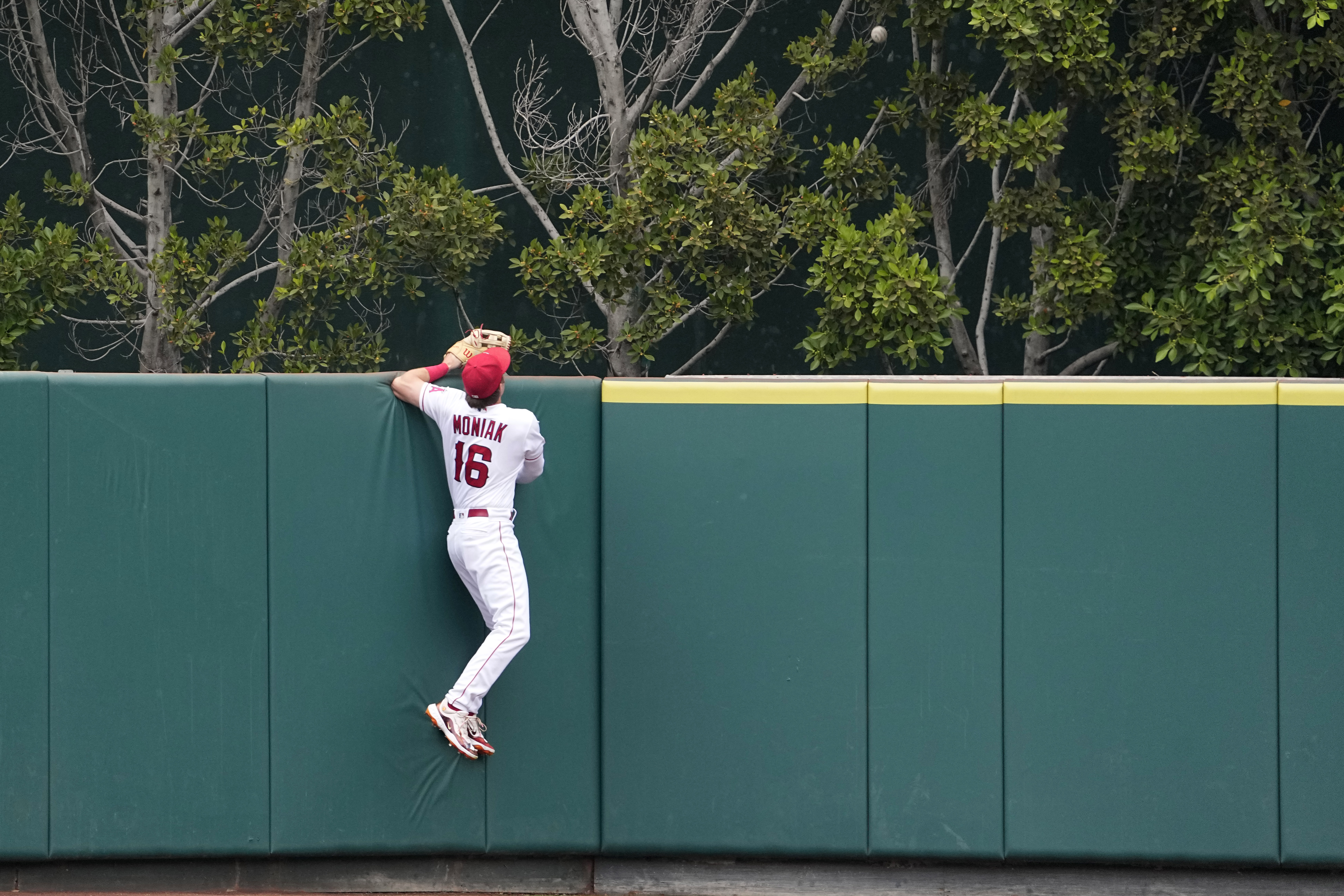 Neto has first 2-homer game, Ohtani remains hot as Angels defeat