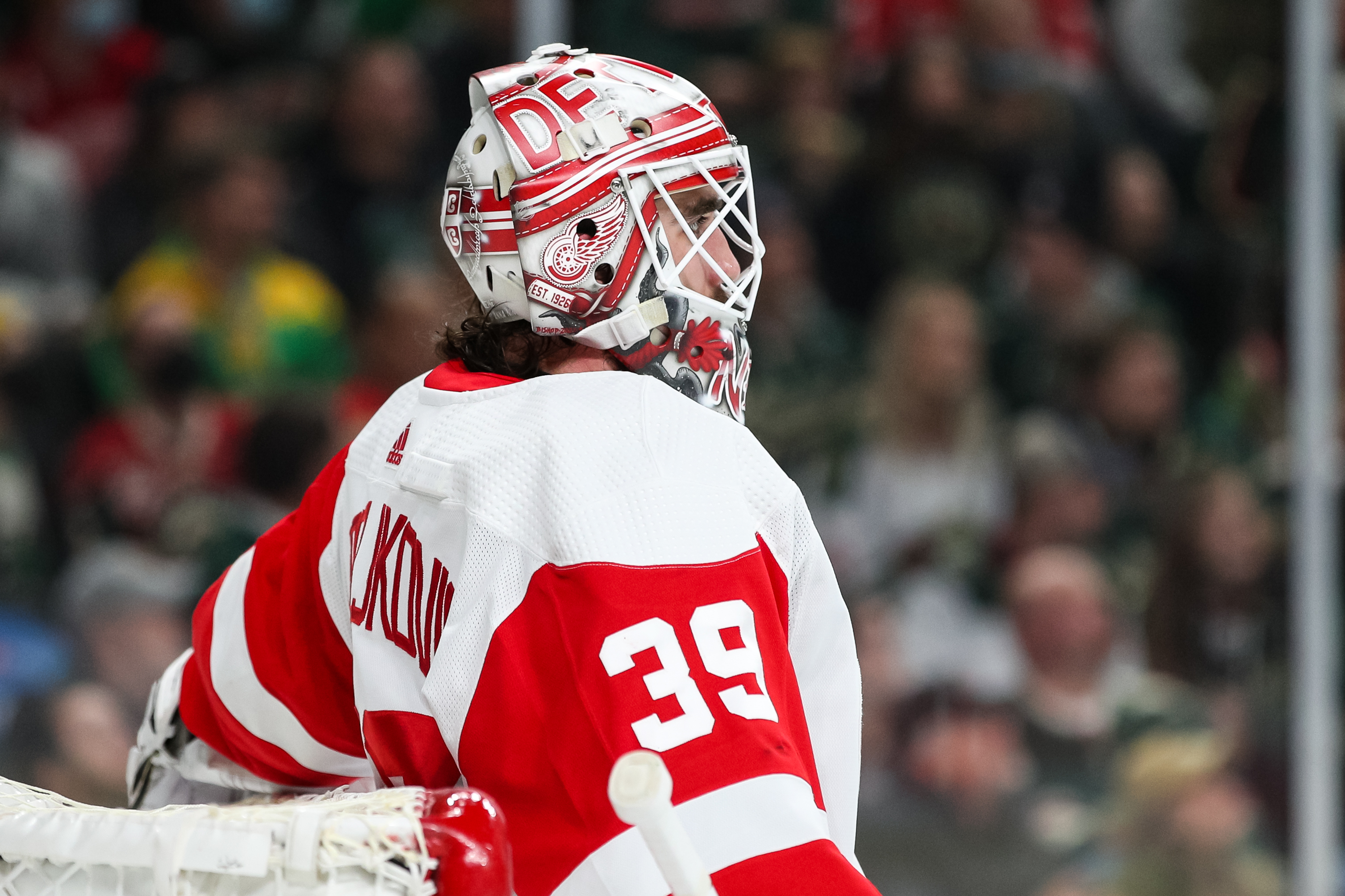 Minnesota Wild - Detroit Red Wings - Dec 14, 2022