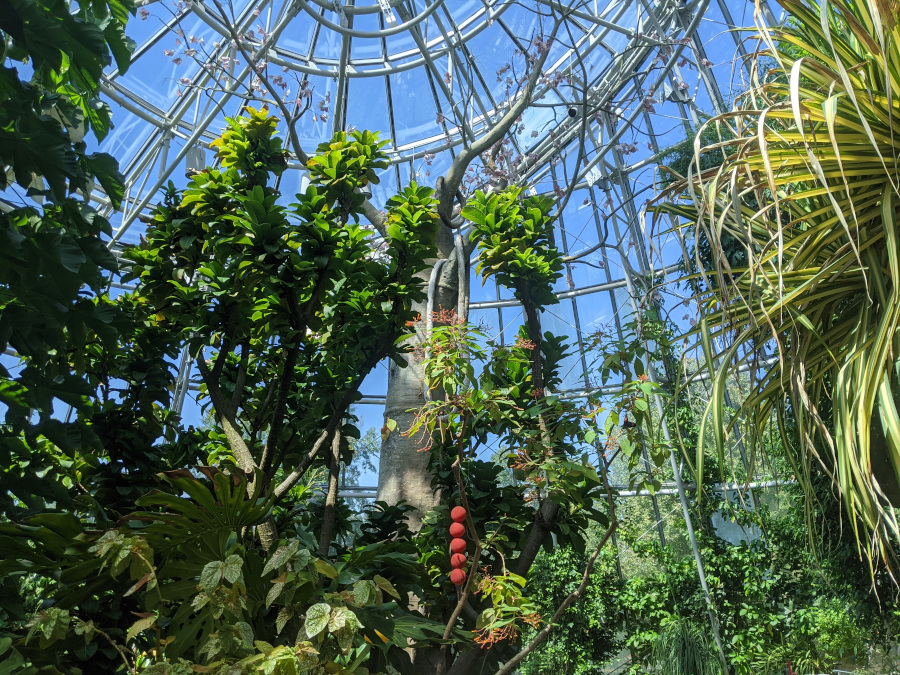 Things to Do in Houston With Kids A Family Guide to Houston