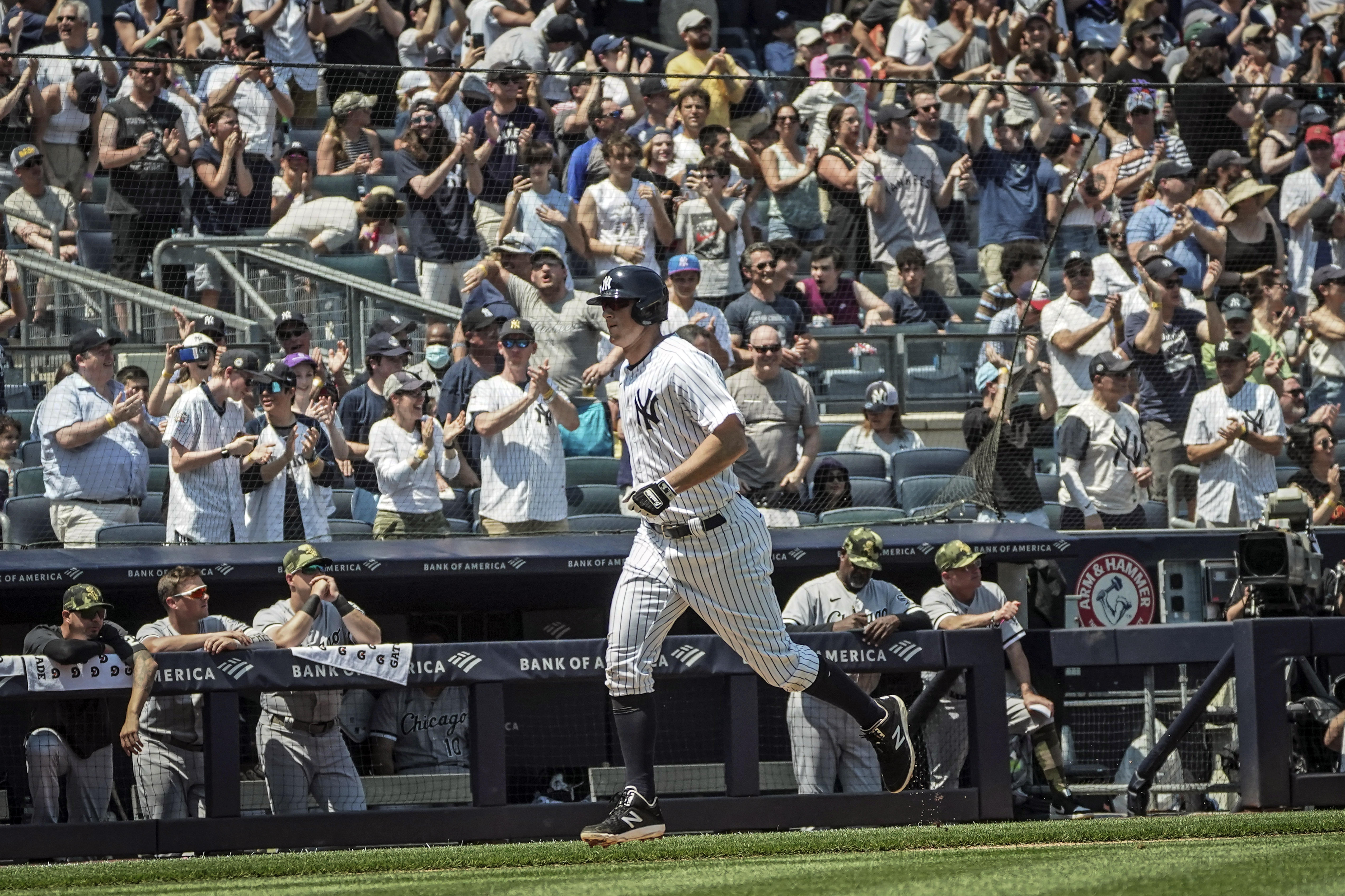 Anthony Rizzo used dogs to get Aaron Judge to re-sign with Yankees - Sports  Illustrated