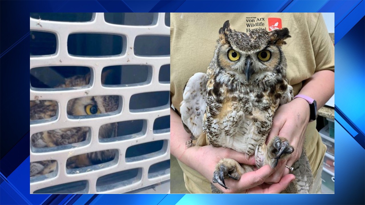 Screech and his mother enjoy front row seats 