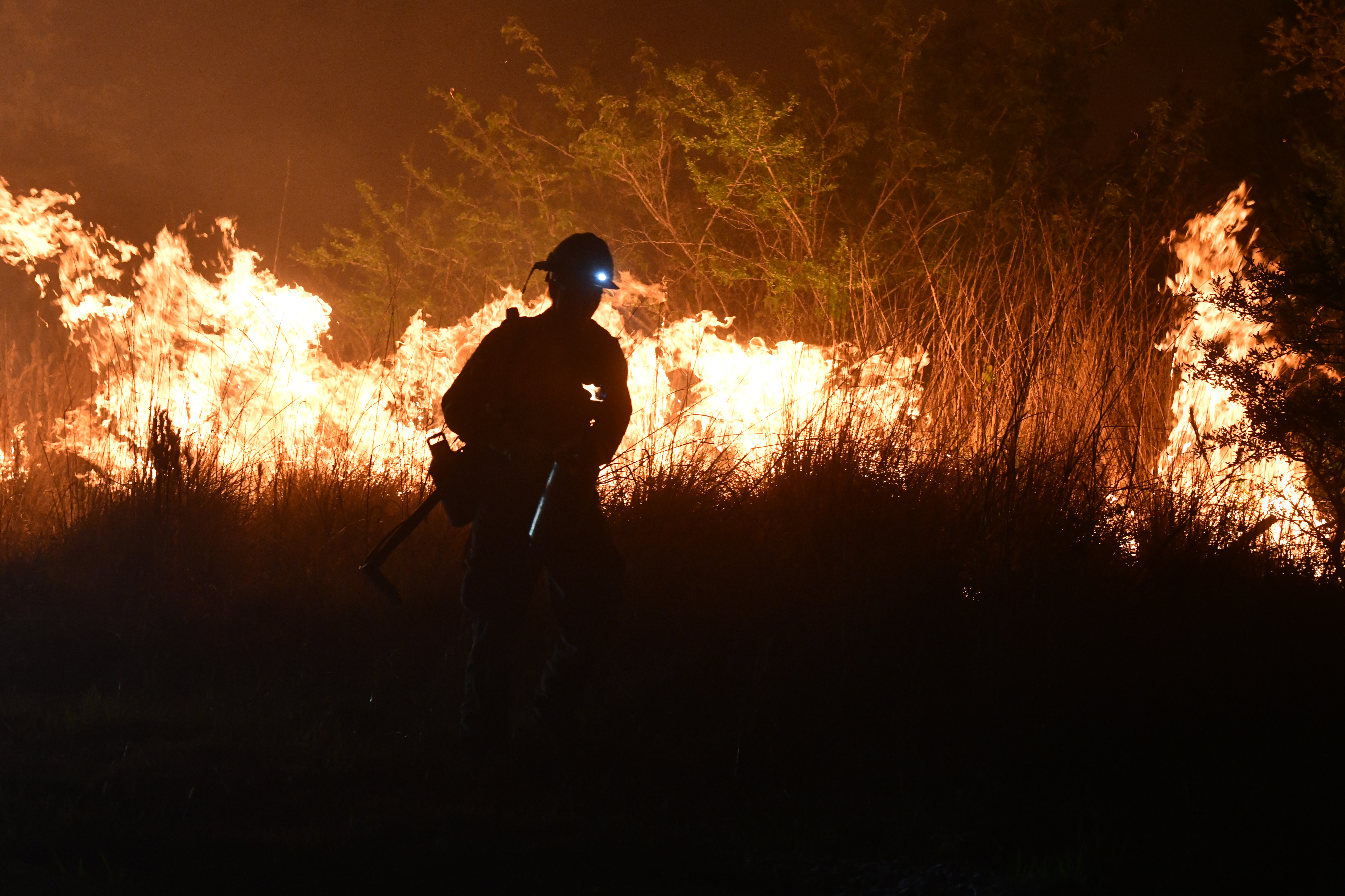 Camp Bulis Fire