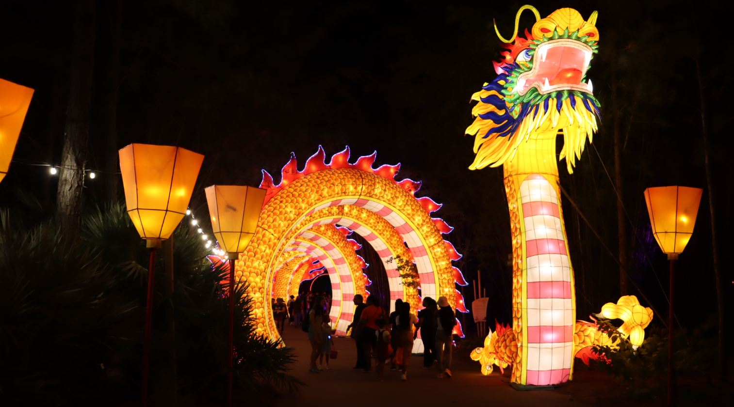 Experience wildlife in a new light: ZOOLights lanterns bring art