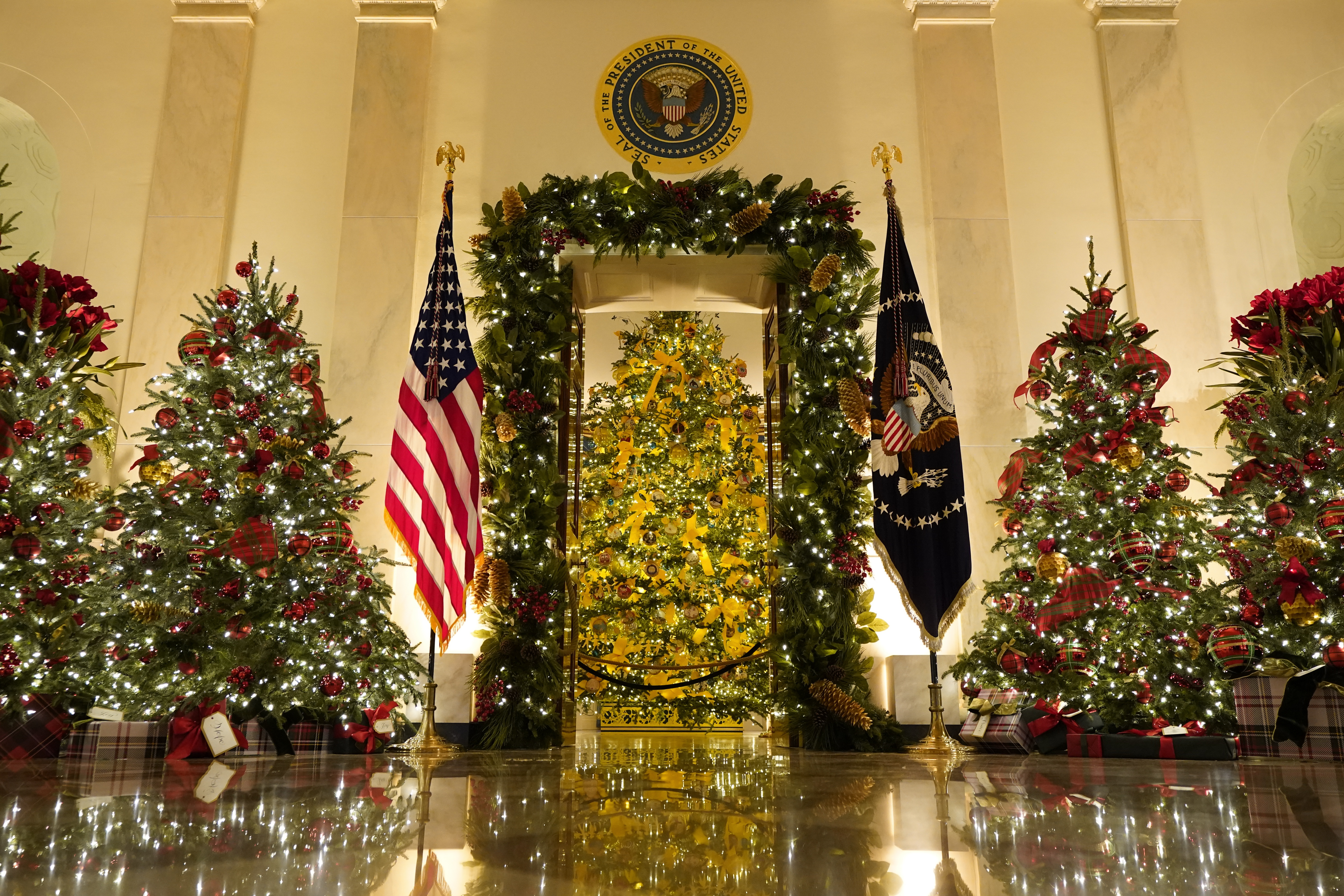 President Joe Biden and Vice President Kamala Harris Pretty Christmas Ornament 