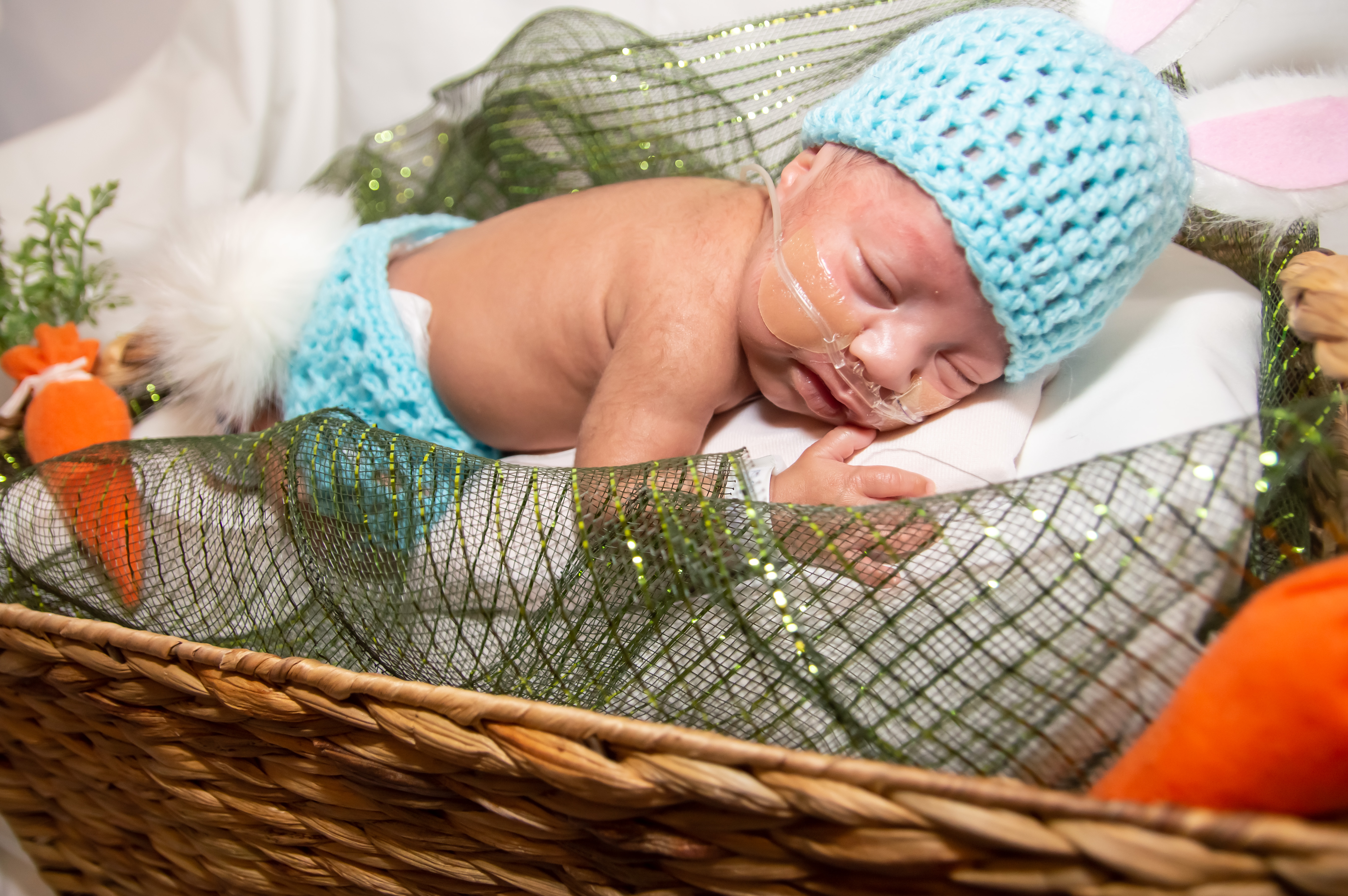 Newborn easter photo hot sale shoot