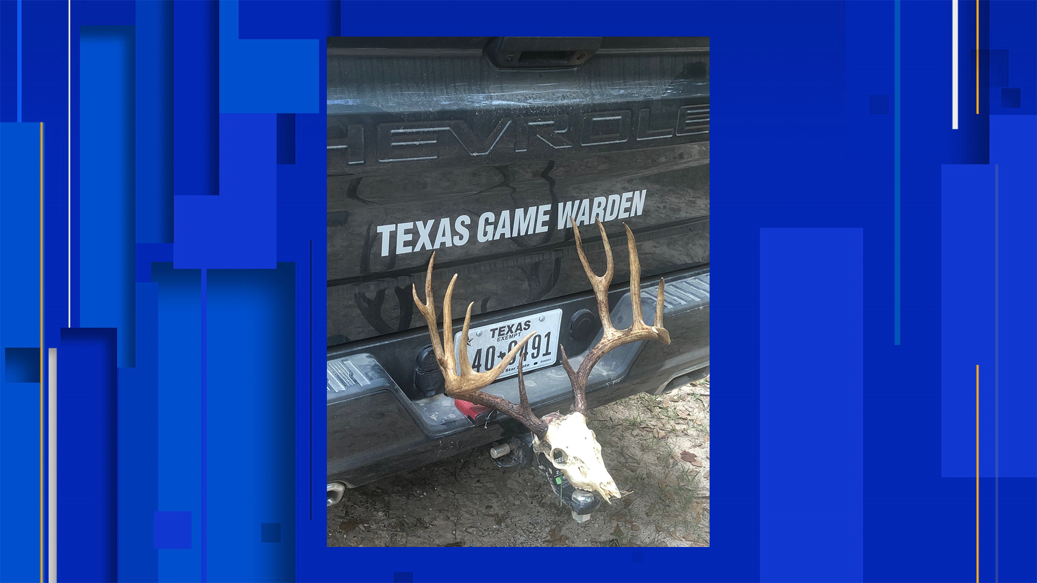 Texas Game Wardens tipped off to illegal whitetail deer kill in Angelina  County through social media