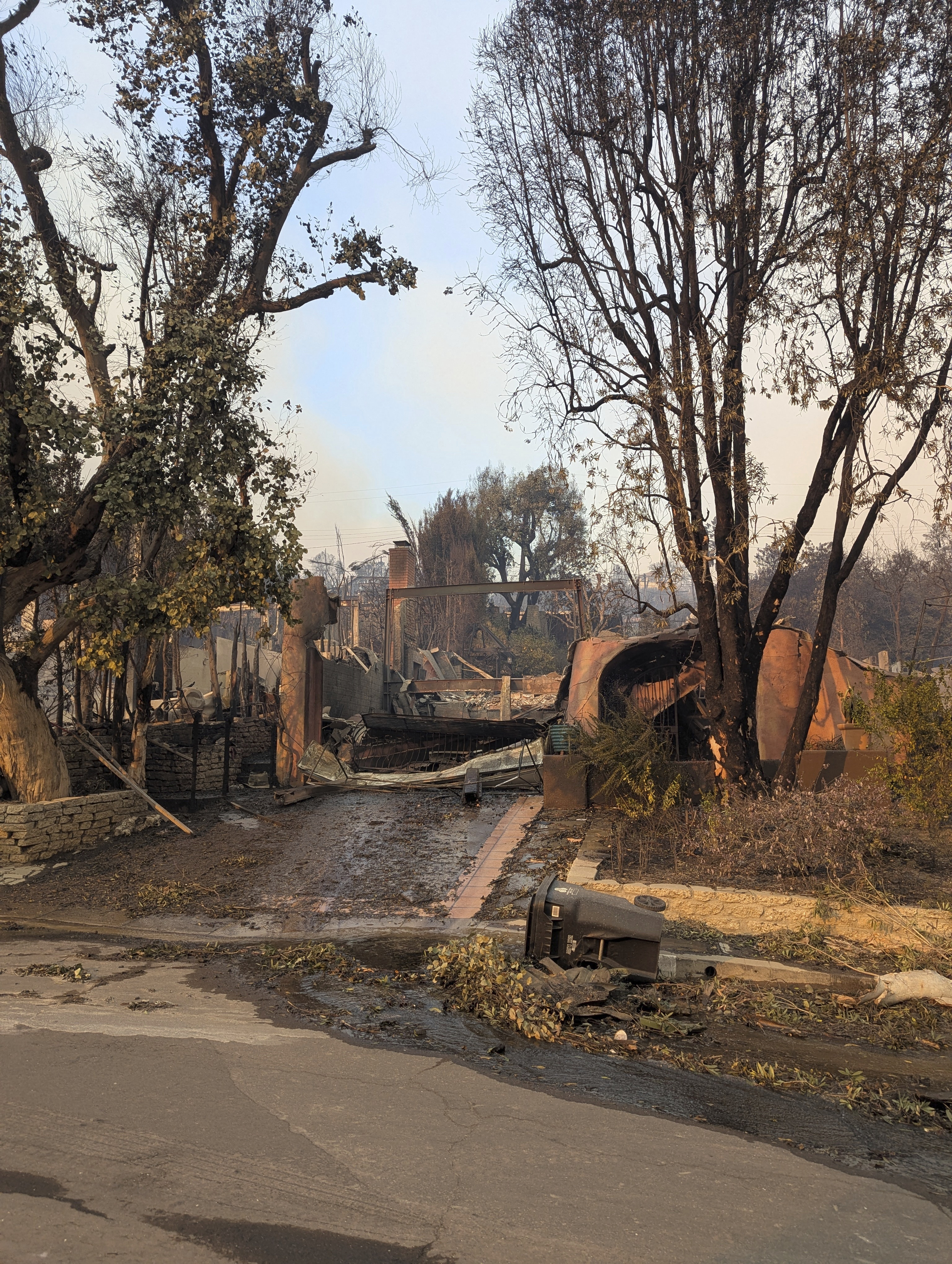 One cat's incredible reunion with its owner after the LA wildfires
