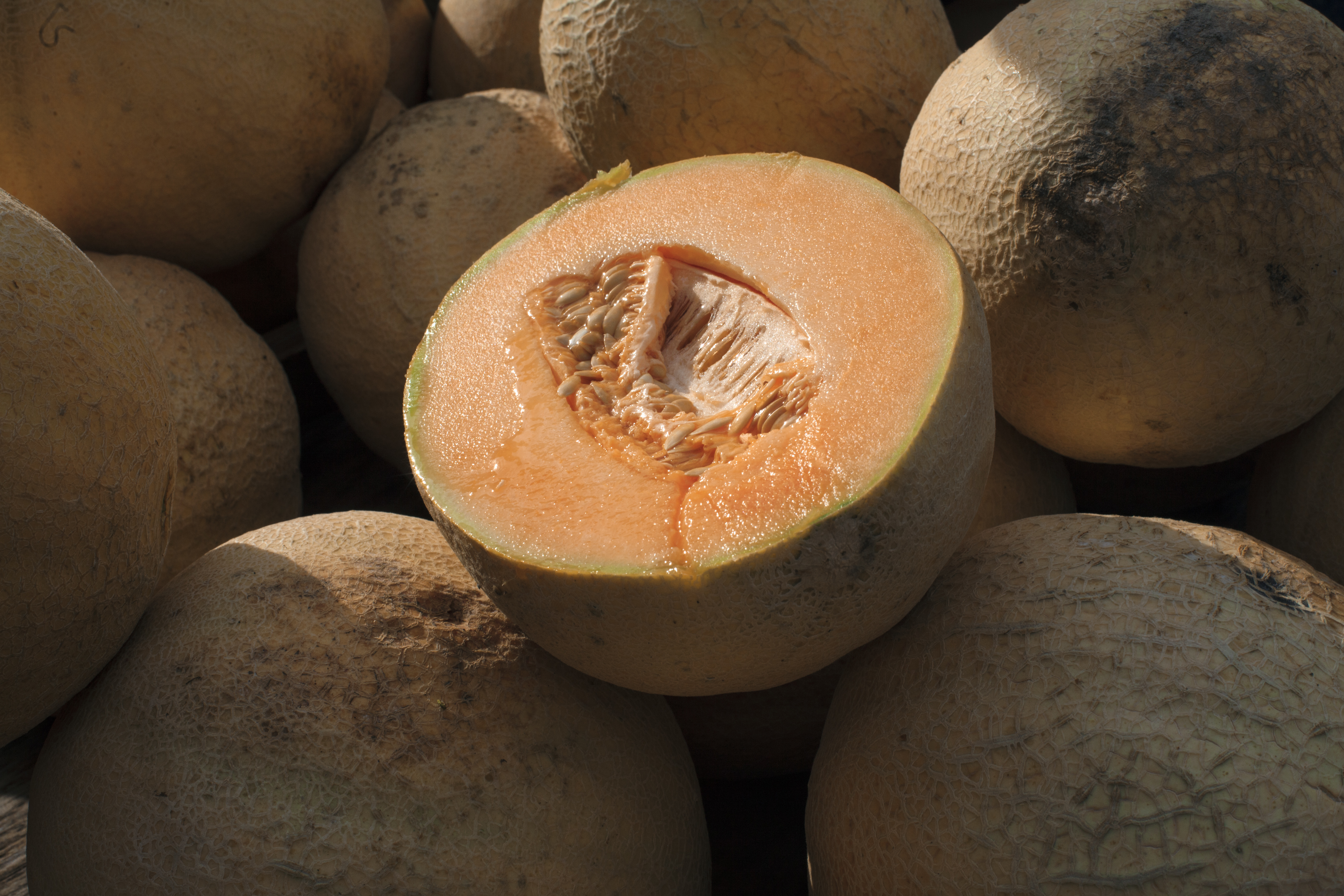 FDA: Kiwifruit Recall Due To Listeria Concerns Affects 14 States