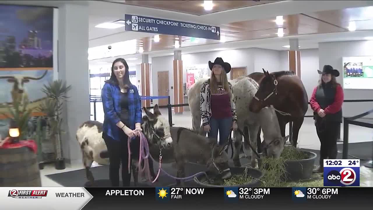 American Airlines - Appleton International Airport (ATW)