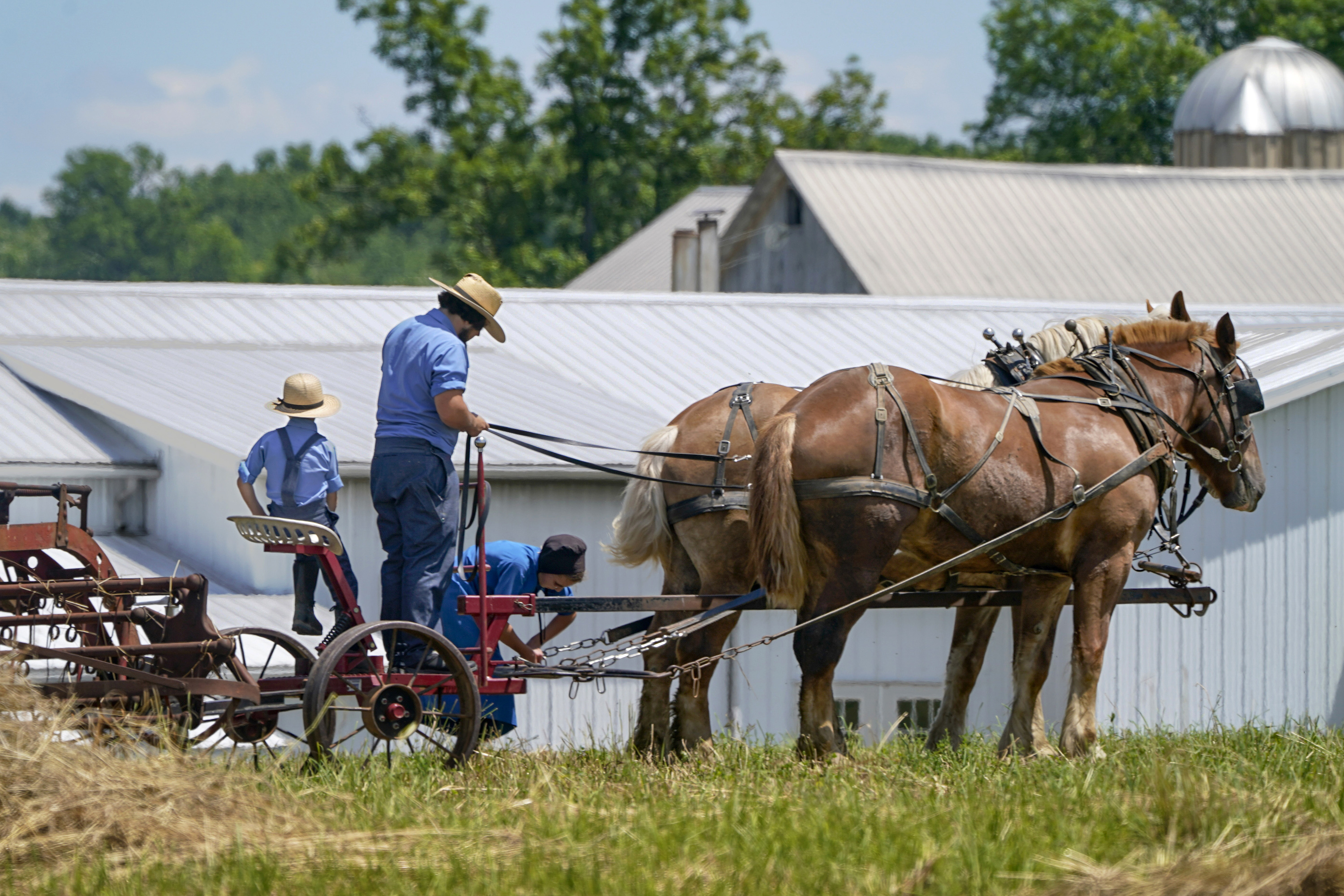 Amish put faith in Gods will and herd immunity over vaccine