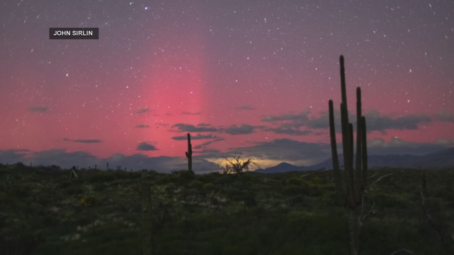 Arizona Coyotes on X: Bringing the Desert Night to life. More
