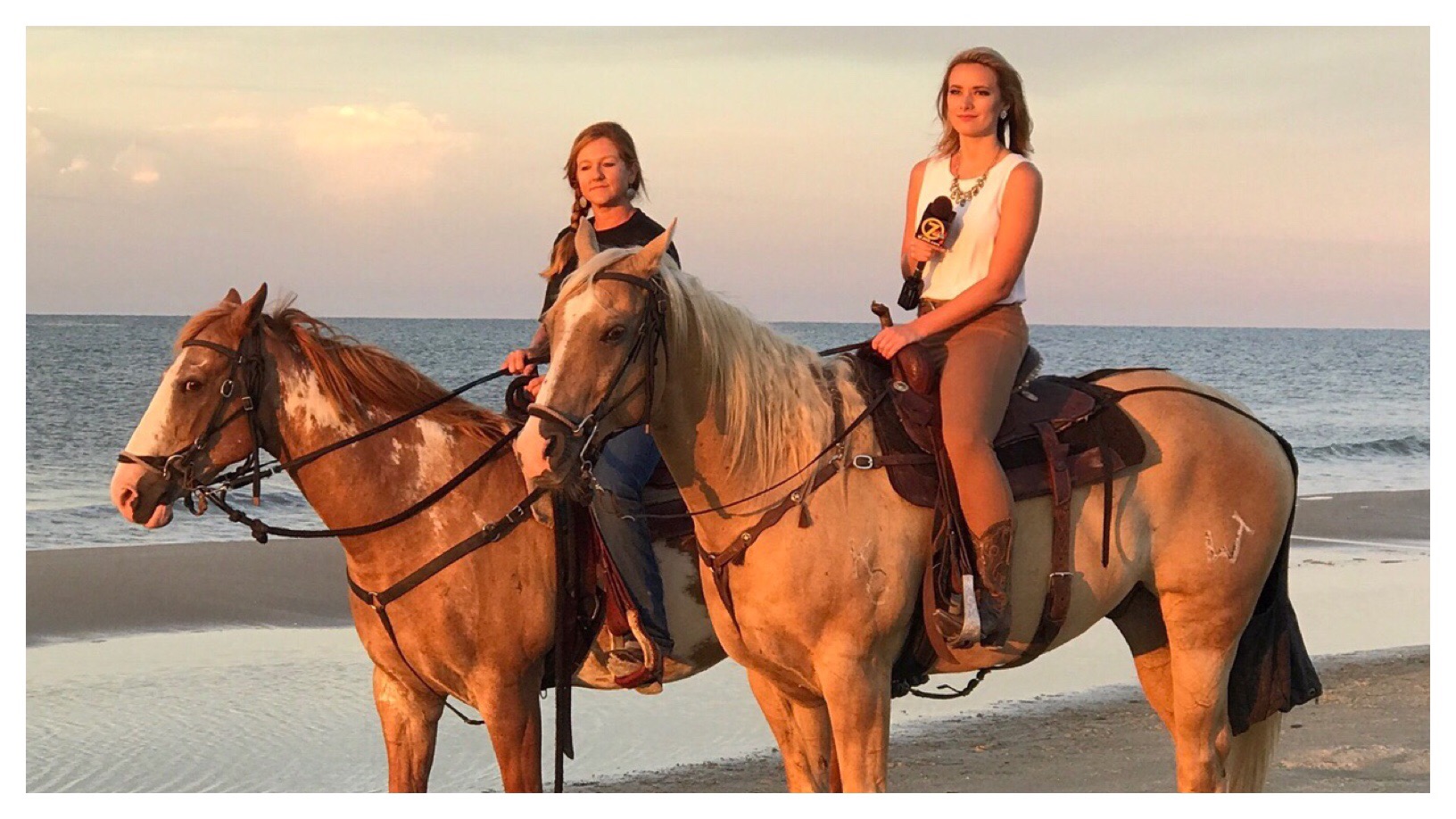 Unleashing Adventure: Horseback Riding in Panama City Beach