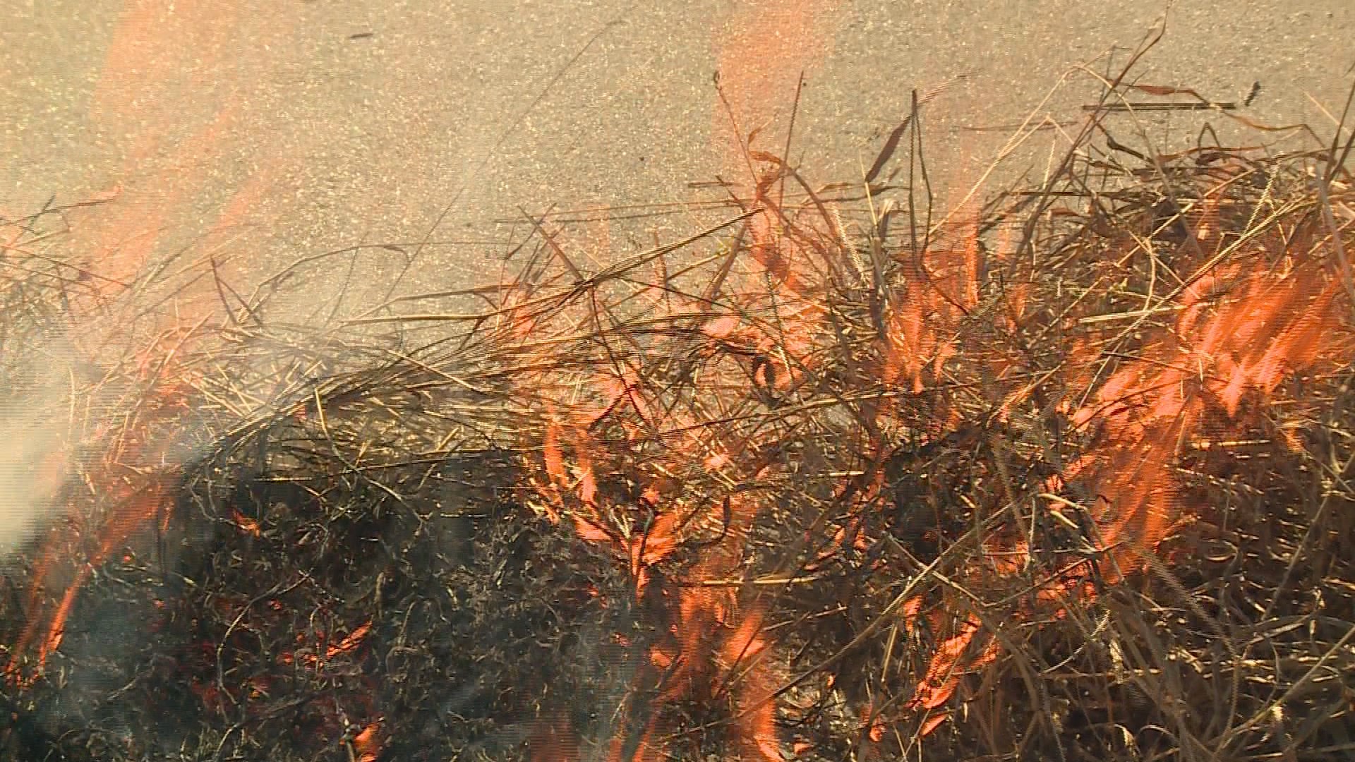 Stubborn grass fires being fueled by dry, windy conditions