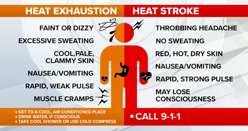semaglutide and heat exhaustion Exposure: Storage & Stability Guide – PlexusDx Heat exhaustion vs. heat stroke: