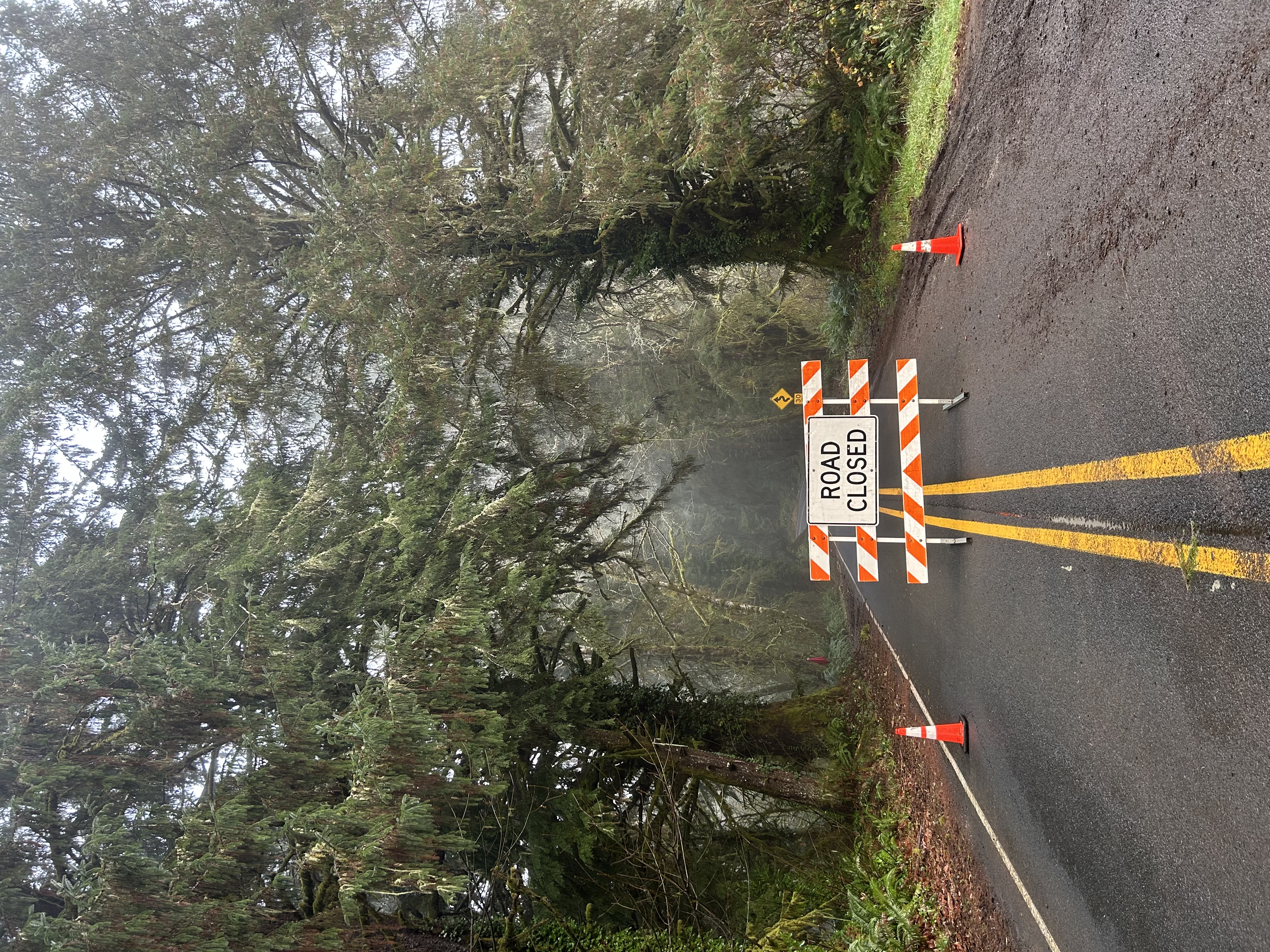 Massive' landslide destroys 3 homes, closes coastal highway near
