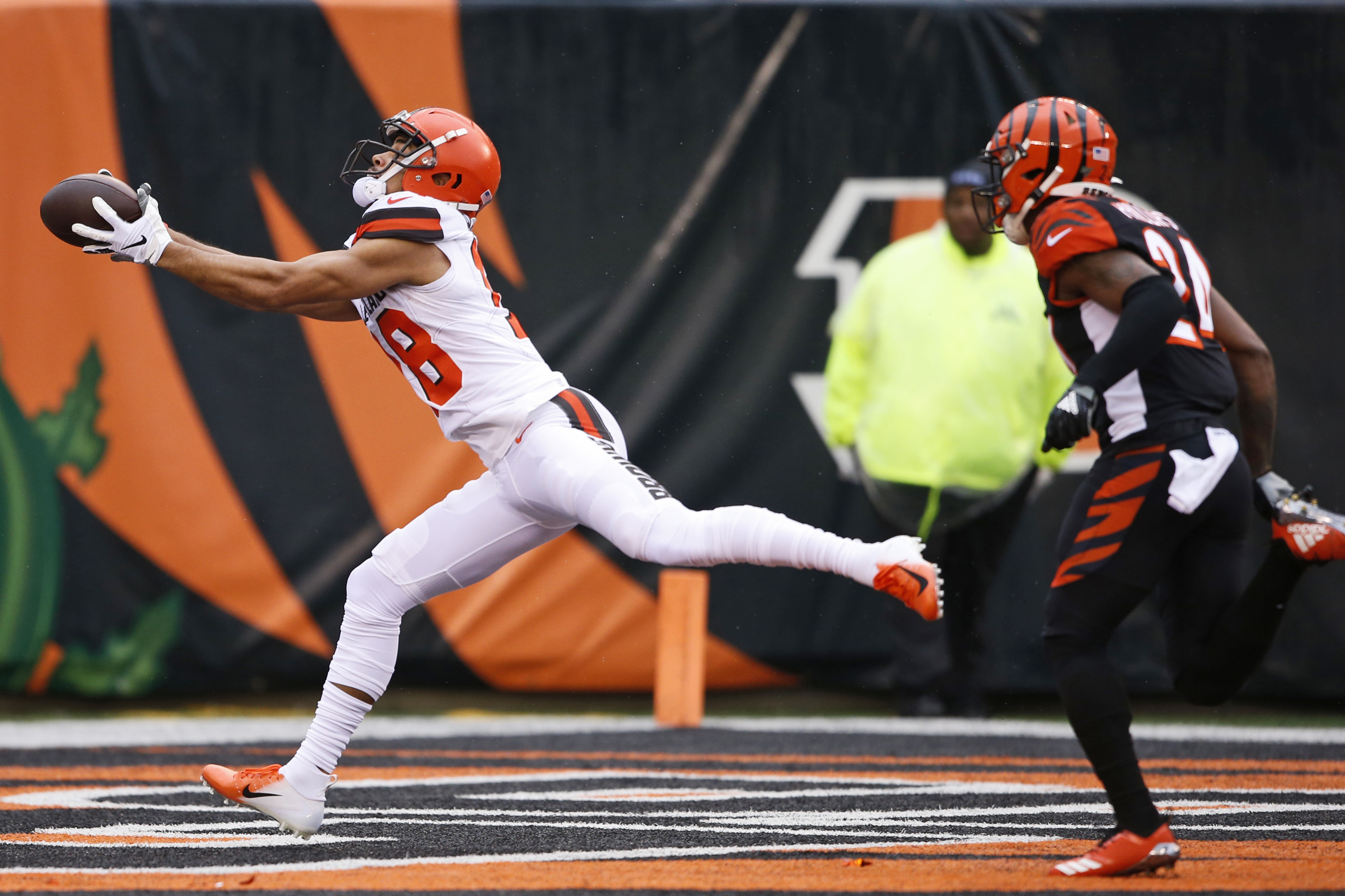 How to Watch the Cleveland Browns at Cincinnati Bengals on December 29, 2019