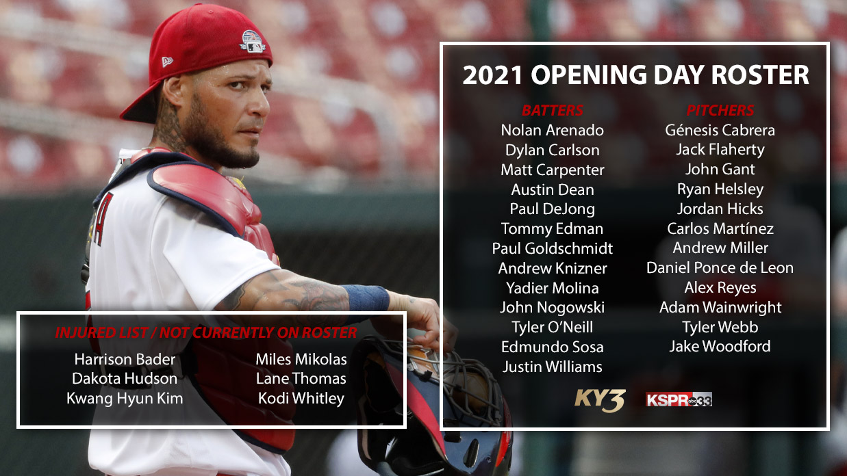 State of the Cardinals' 2021 roster: Hitters breakdown - The Athletic