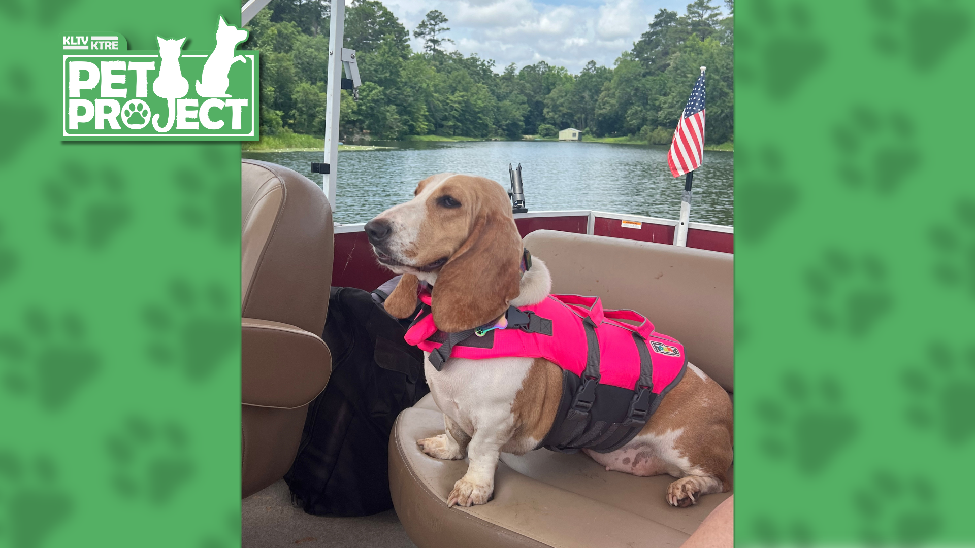 East Texans share photos of their beloved dogs for National Dog