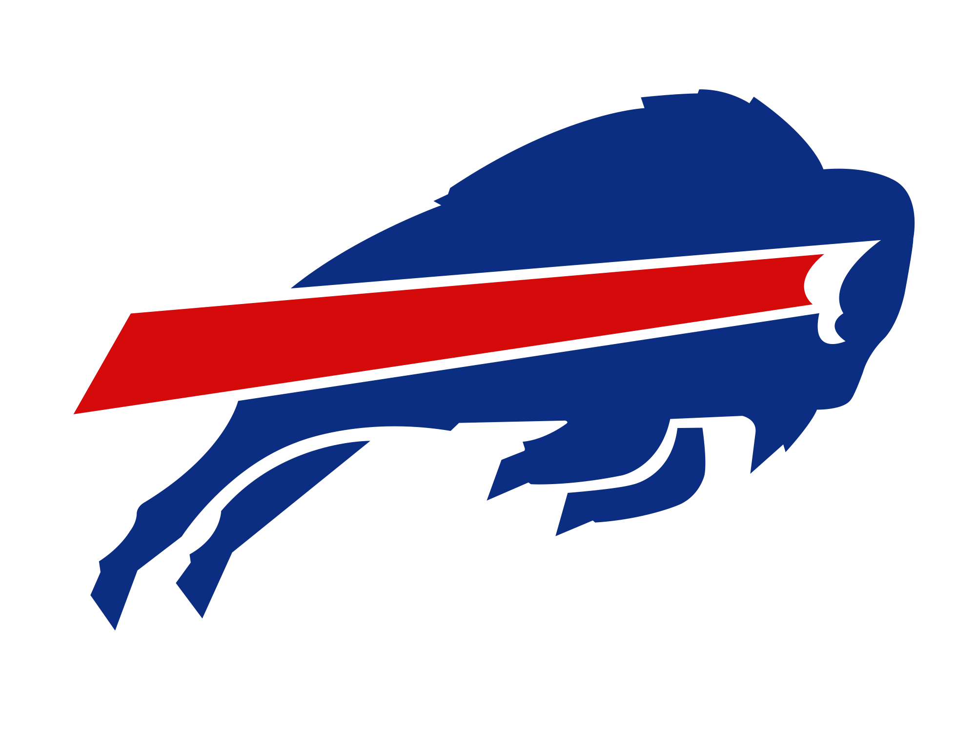 The Buffalo Bills owners want a new stadium, and taxpayers might