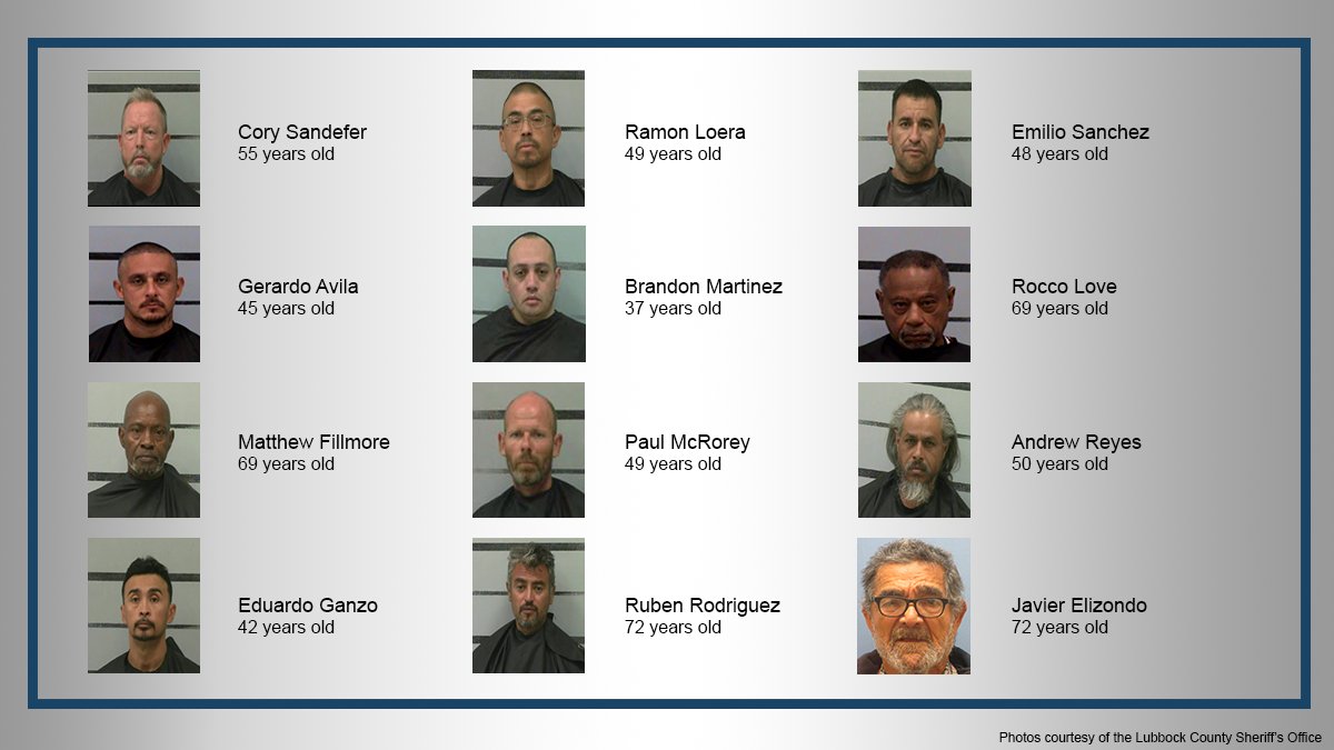 12 sex offenders arrested after multi-agency investigation