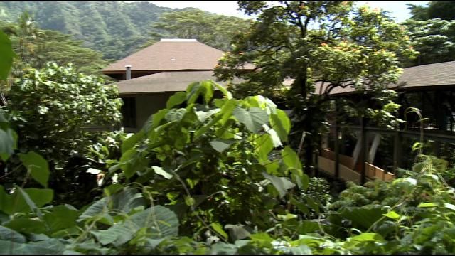 Manoa Neighborhood Board supports public acquisition of Paradise Park land