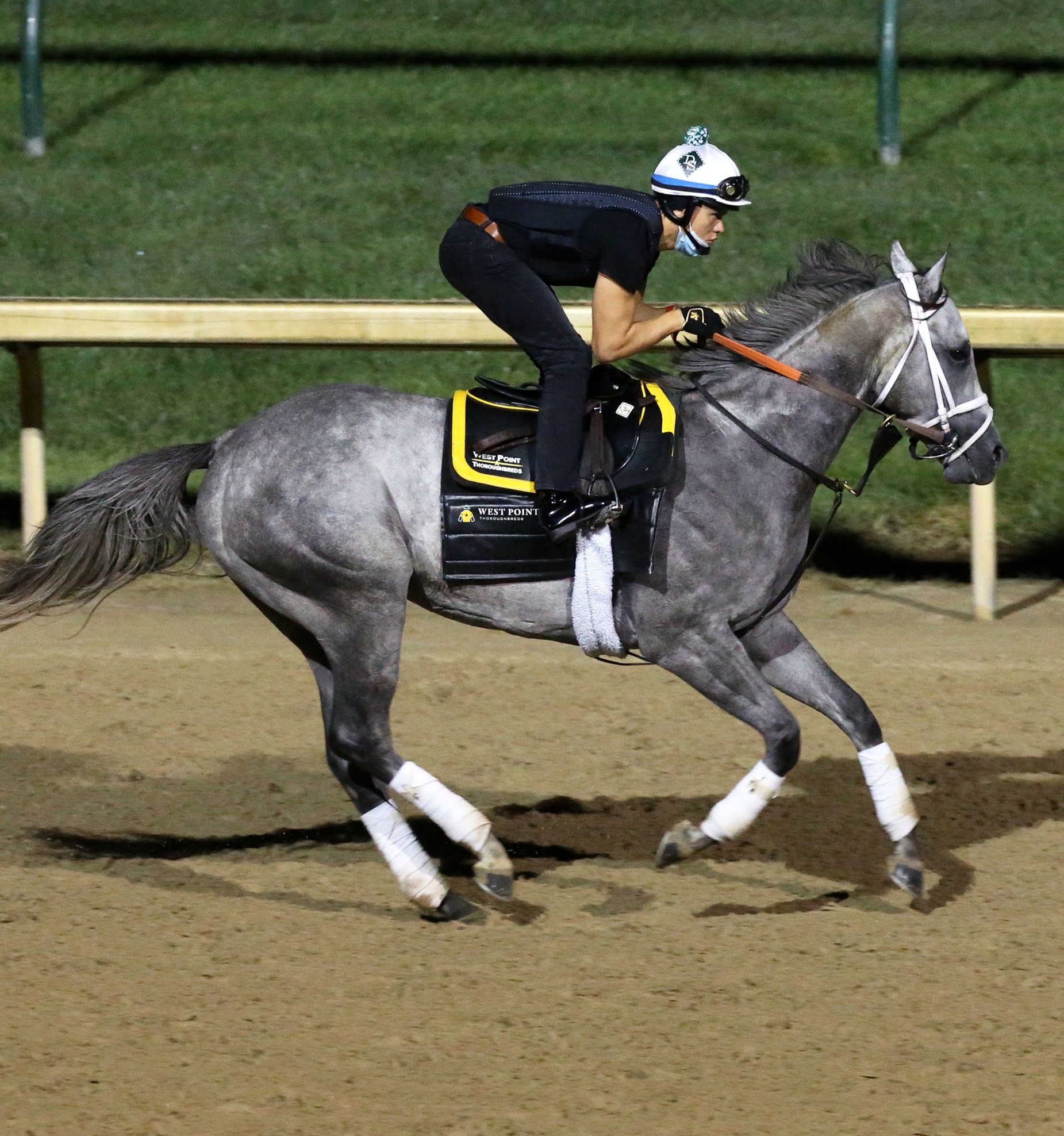 Locals part owners of derby-winning horse, Local News