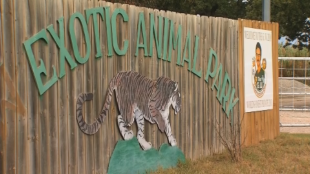 Why You Never See global tiger That Actually Works