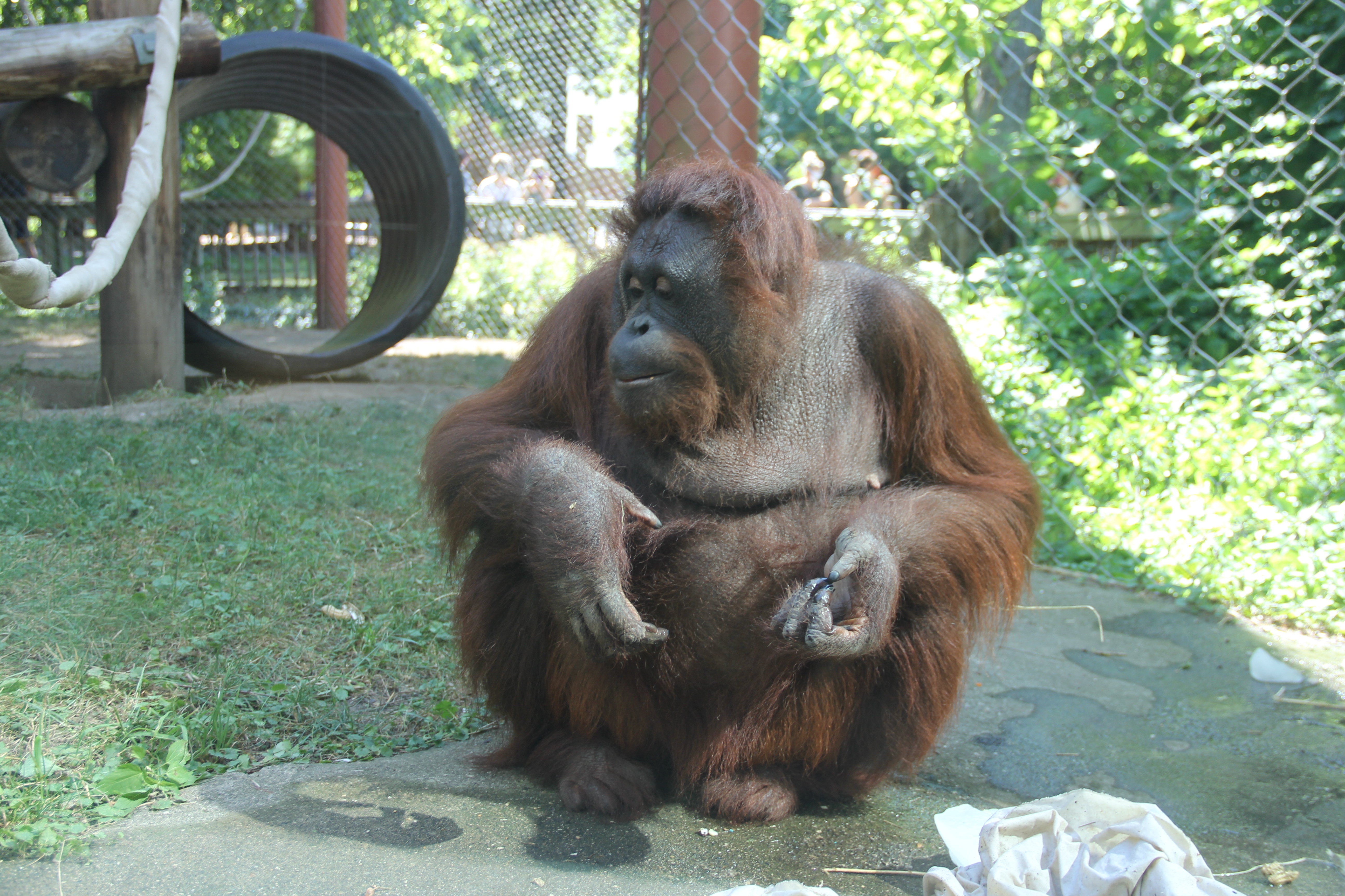 dane county zoo jobs