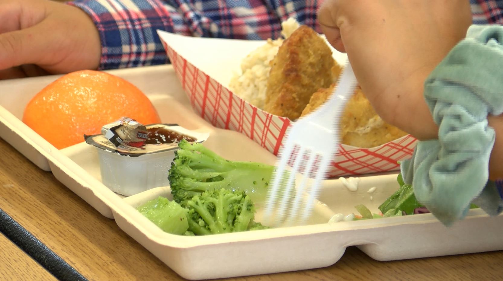 Pender Co. Schools to offer free breakfast, lunch at 11 schools through  Community Eligibility Provision