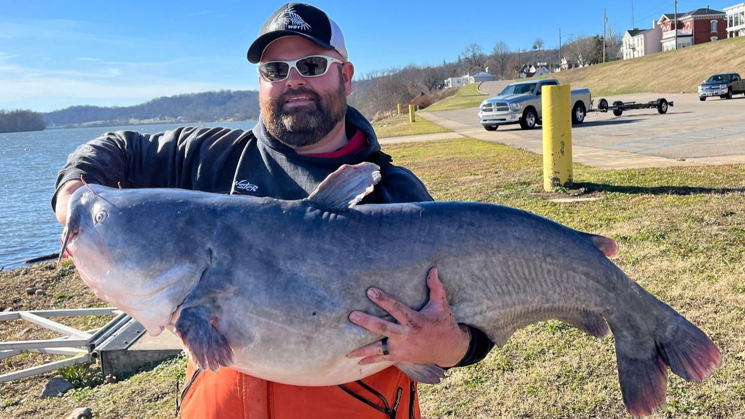 Blue catfish state record broken for fourth straight year in West Virginia