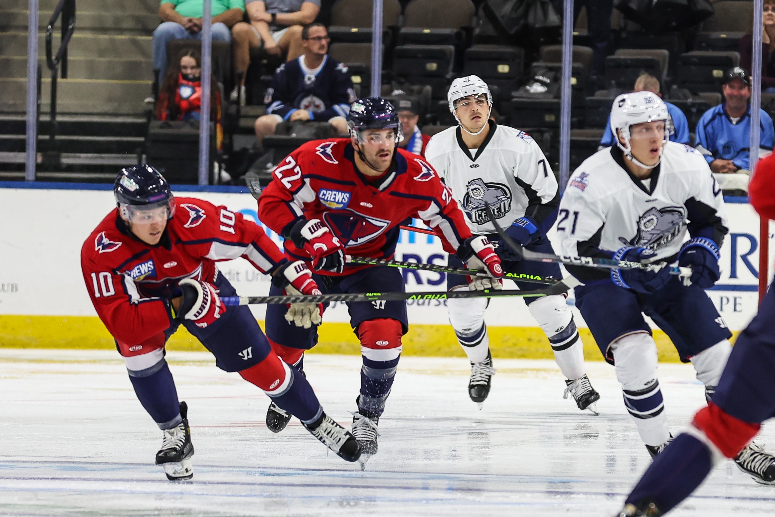 Game Preview: Stingrays at Ghost Pirates, November 11 at 7:30 PM