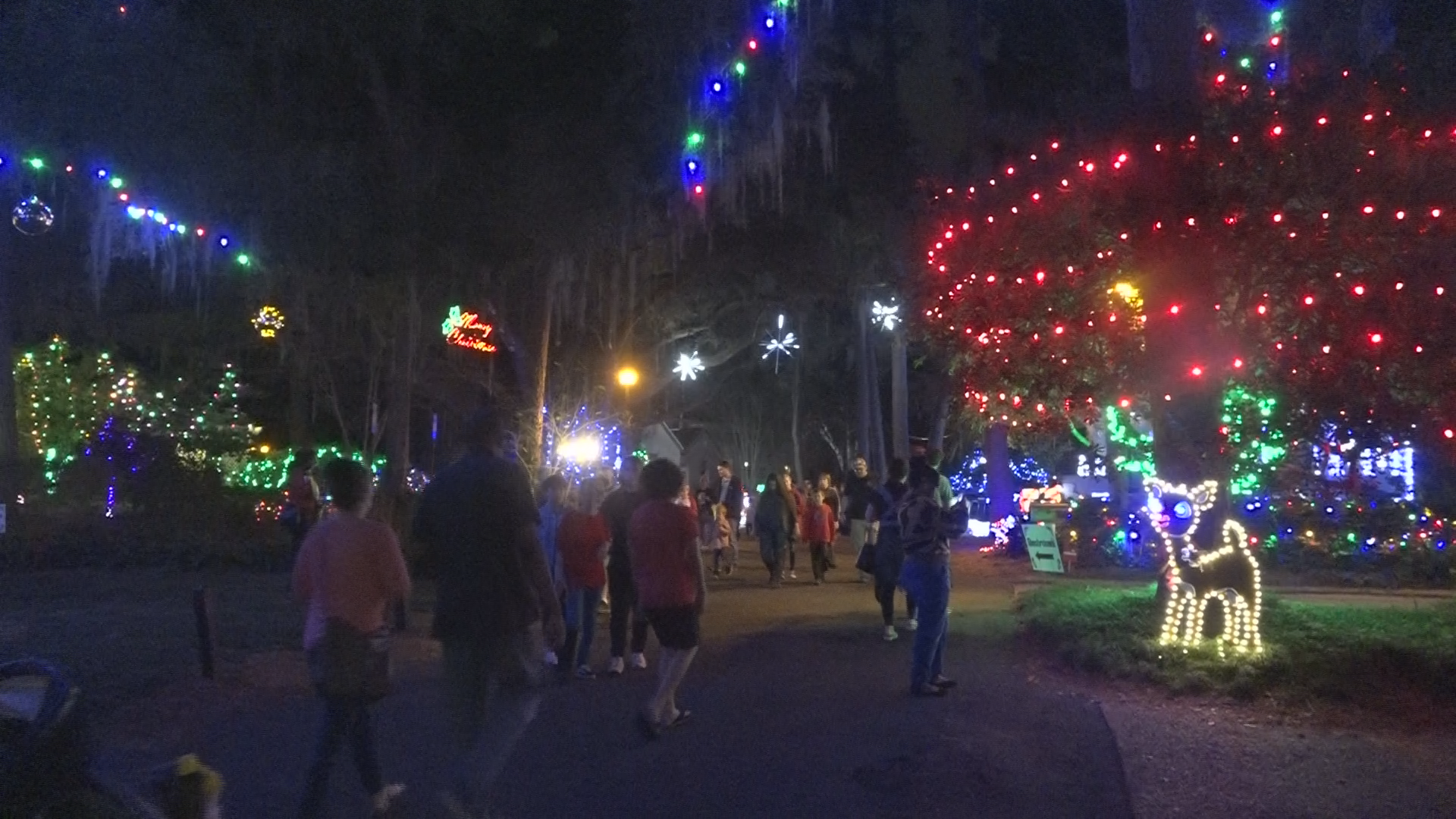 How Long Do Dorothy B Oven Park Christmas Lights 2022 Last Elf Night Returns To Tallahassee, Bringing The Community Together