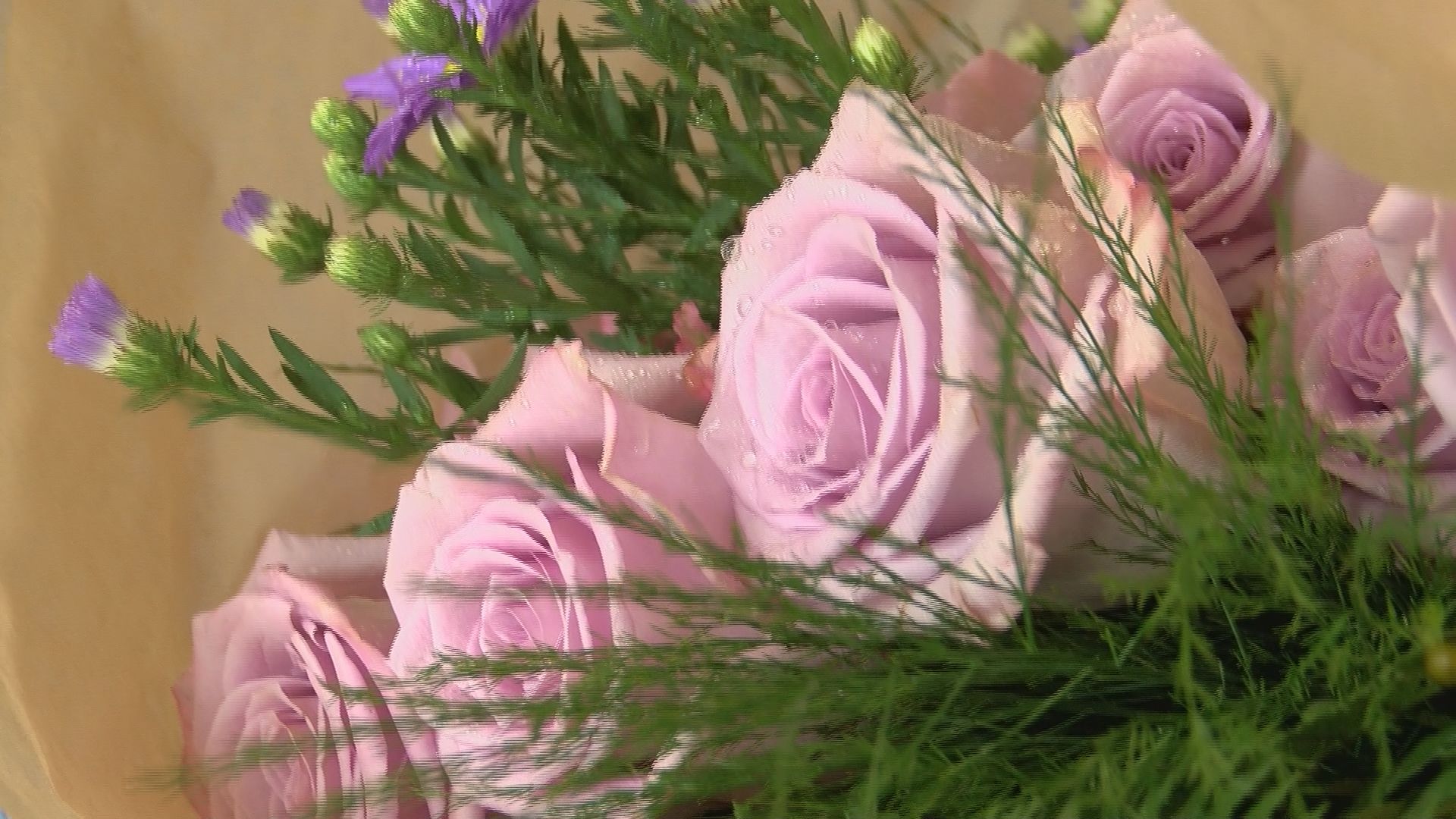 Cardinal Flowers Gulfport Ms Best Flower Site