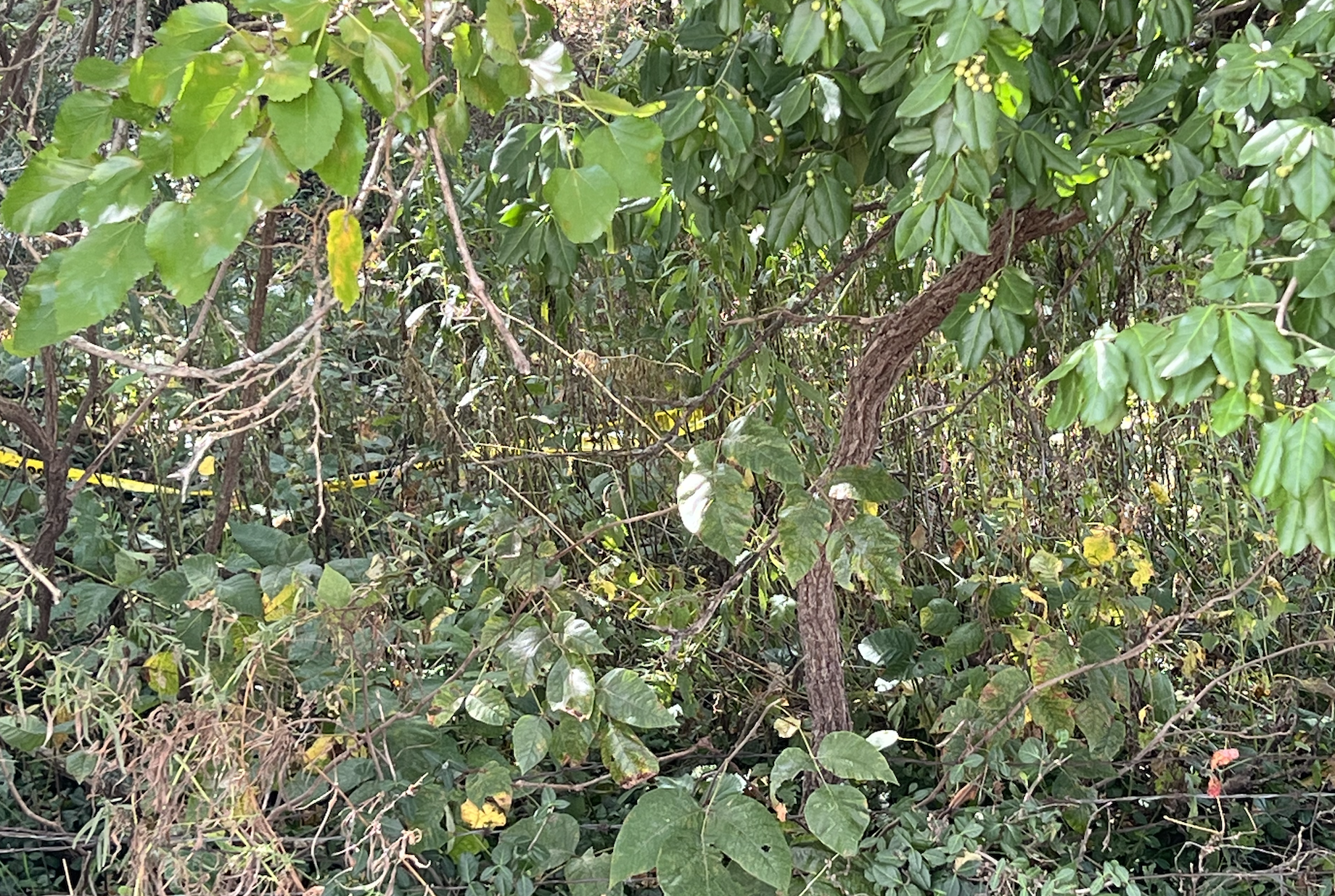 Police Identify Remains Found In A Field In El Dorado Springs Mo