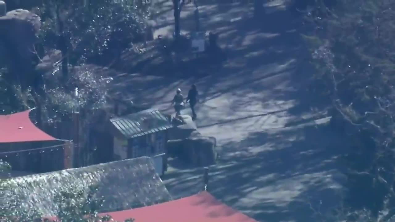 New Cheetah Mom Namoja Has Her Paws Full With Quintuplets! - ZooBorns, image size:1280x720