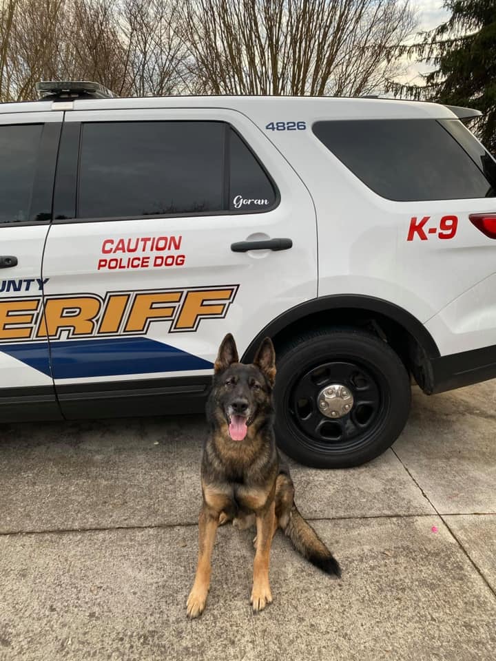 K-9 Bruno Retires from the Sonoma County Sheriff's Office