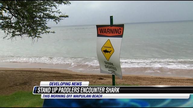 Third shark incident this week reported on Maui