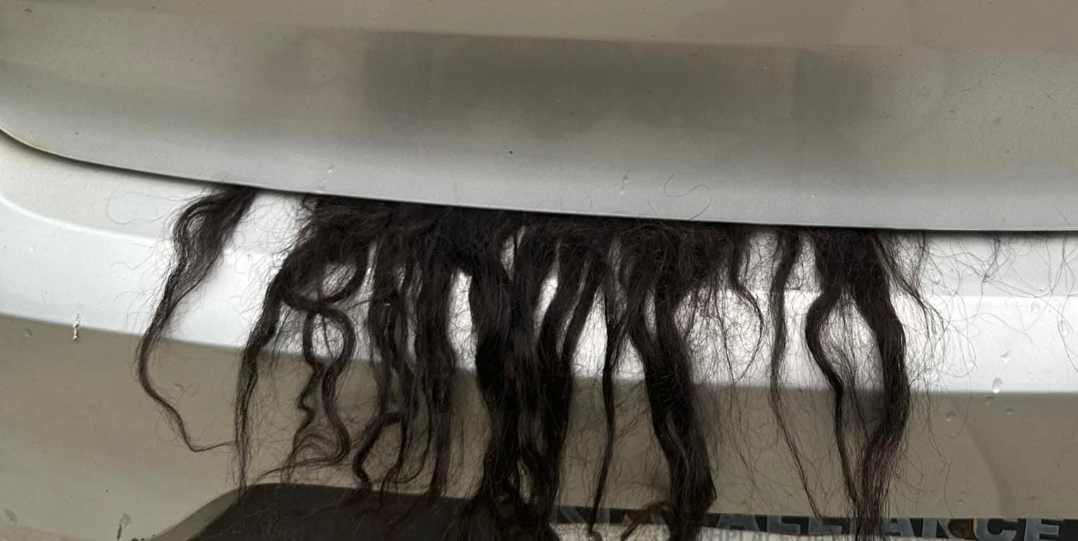 Wig sticking out of car trunk prompts 911 call to Massillon Police