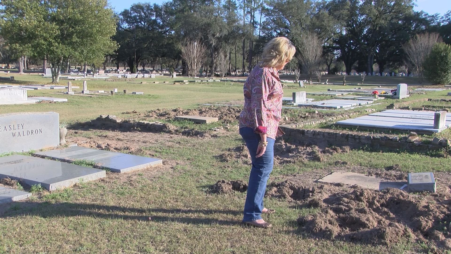 Resident Concerned After Riverside Cemetery Taken Over By Wild Hogs